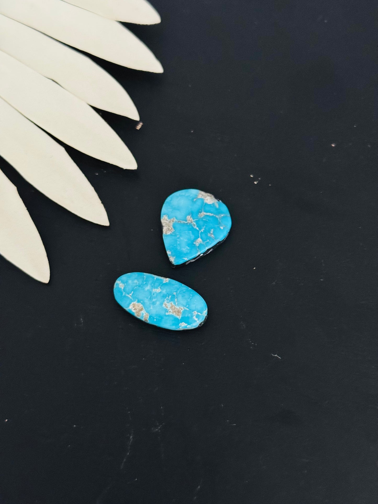 Blue Bird Turquoise Cabs