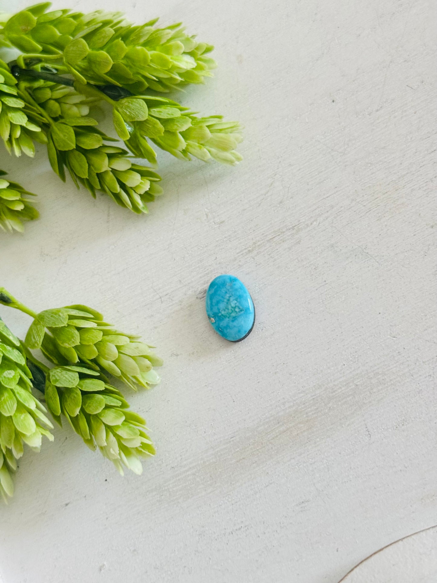 Blue Bird Turquoise Cab