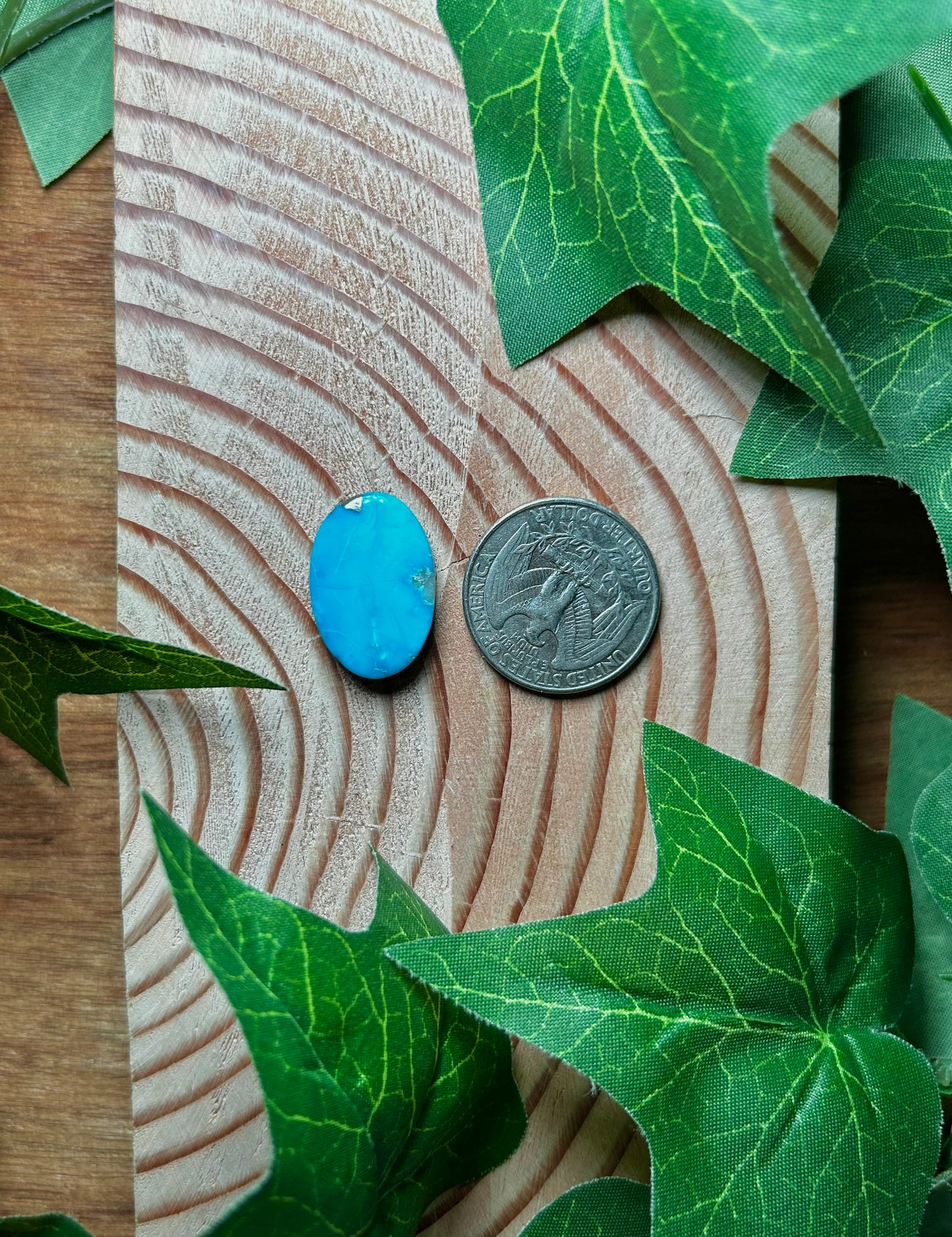 Blue Bird Turquoise Cabs
