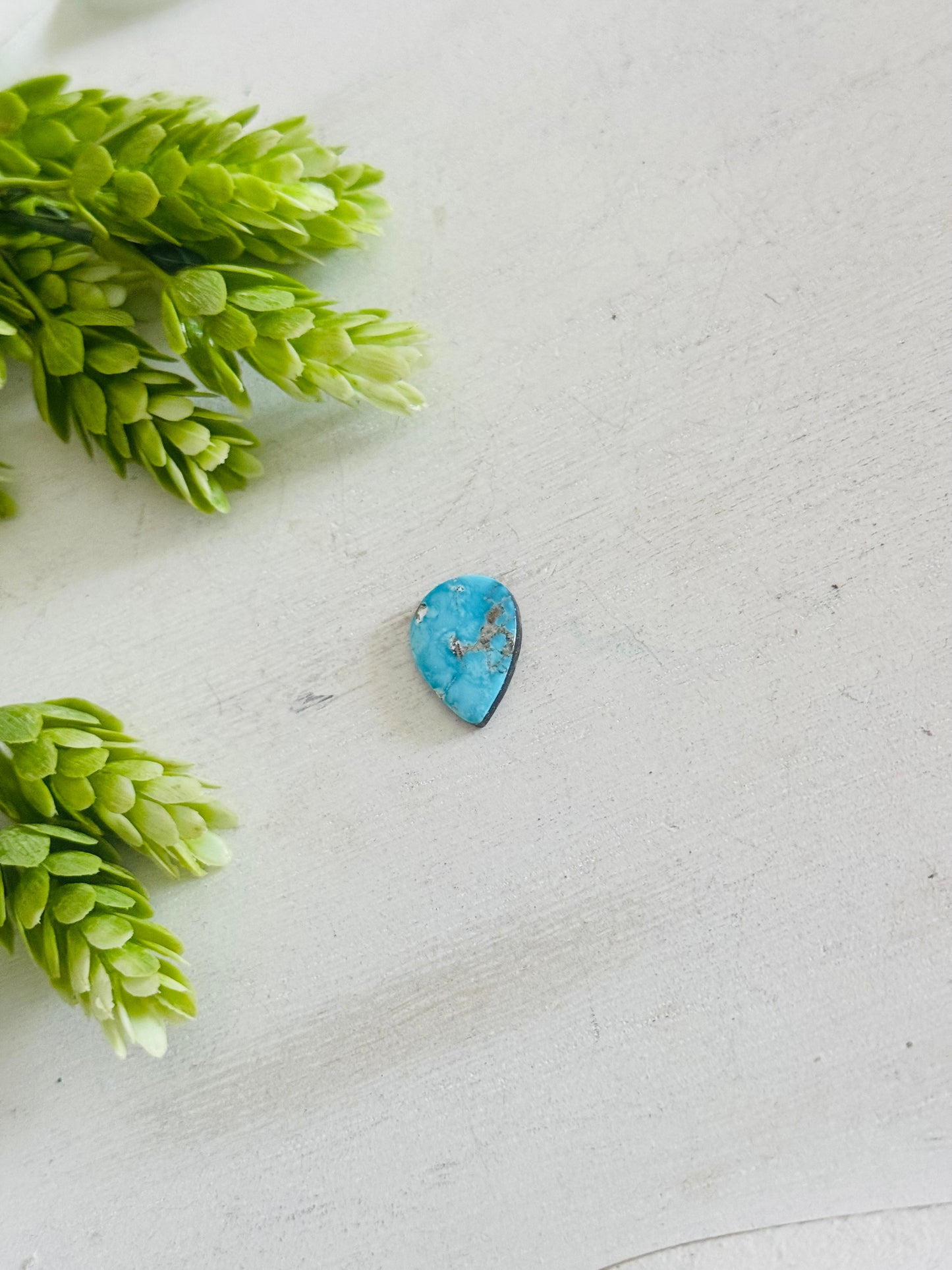 Blue Bird Turquoise Cab