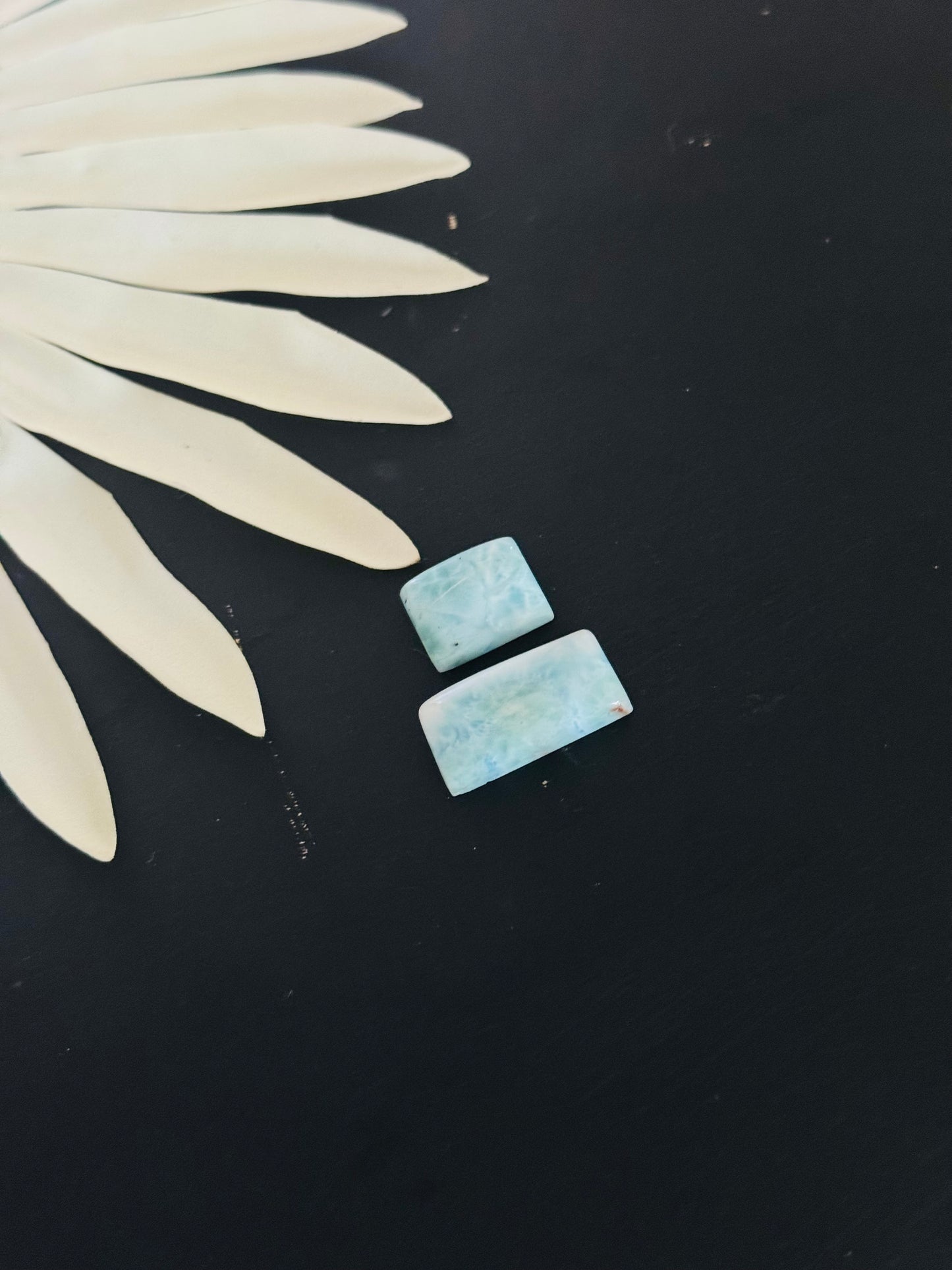 Larimar Cabs