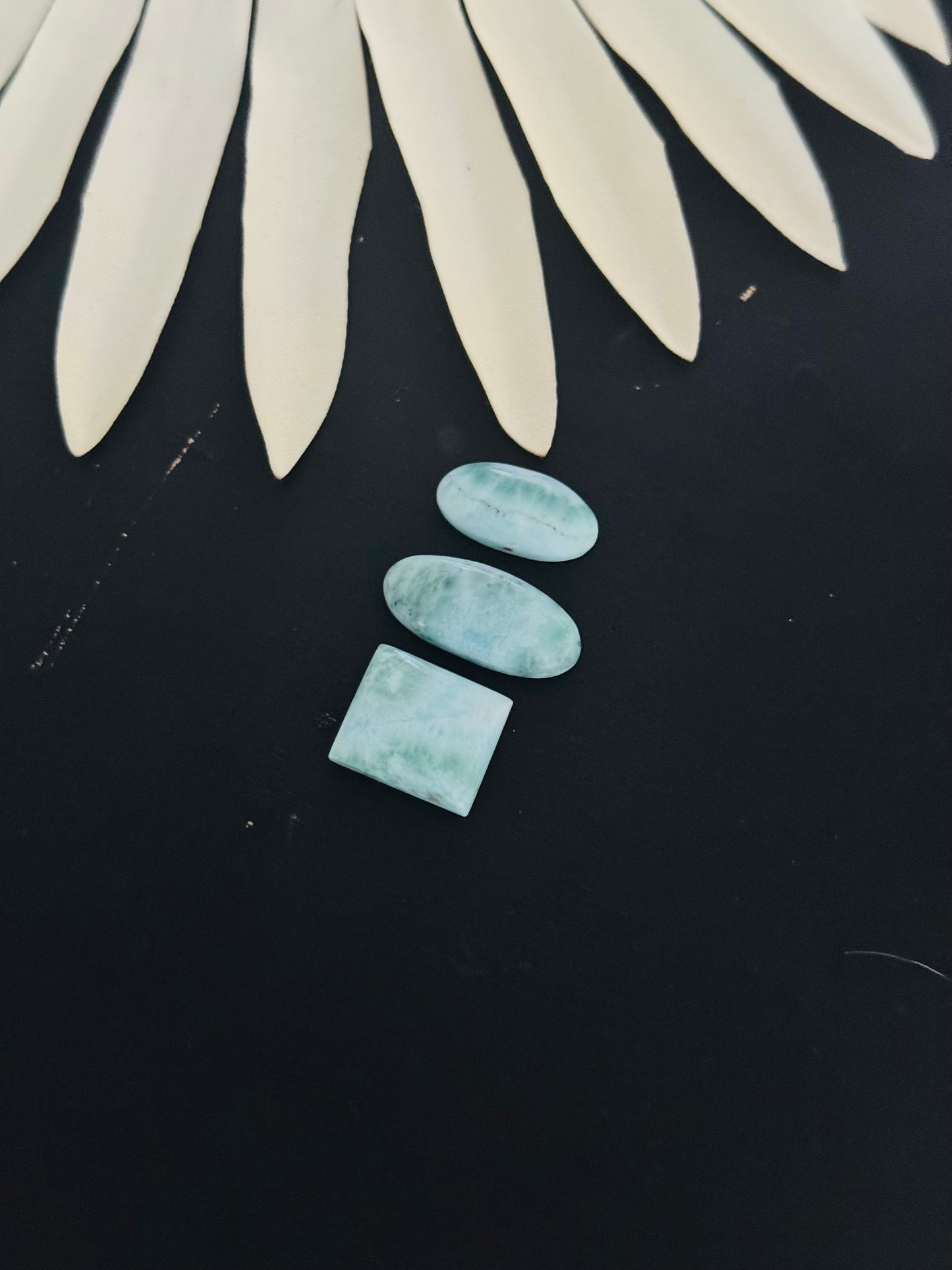 Larimar Cabs