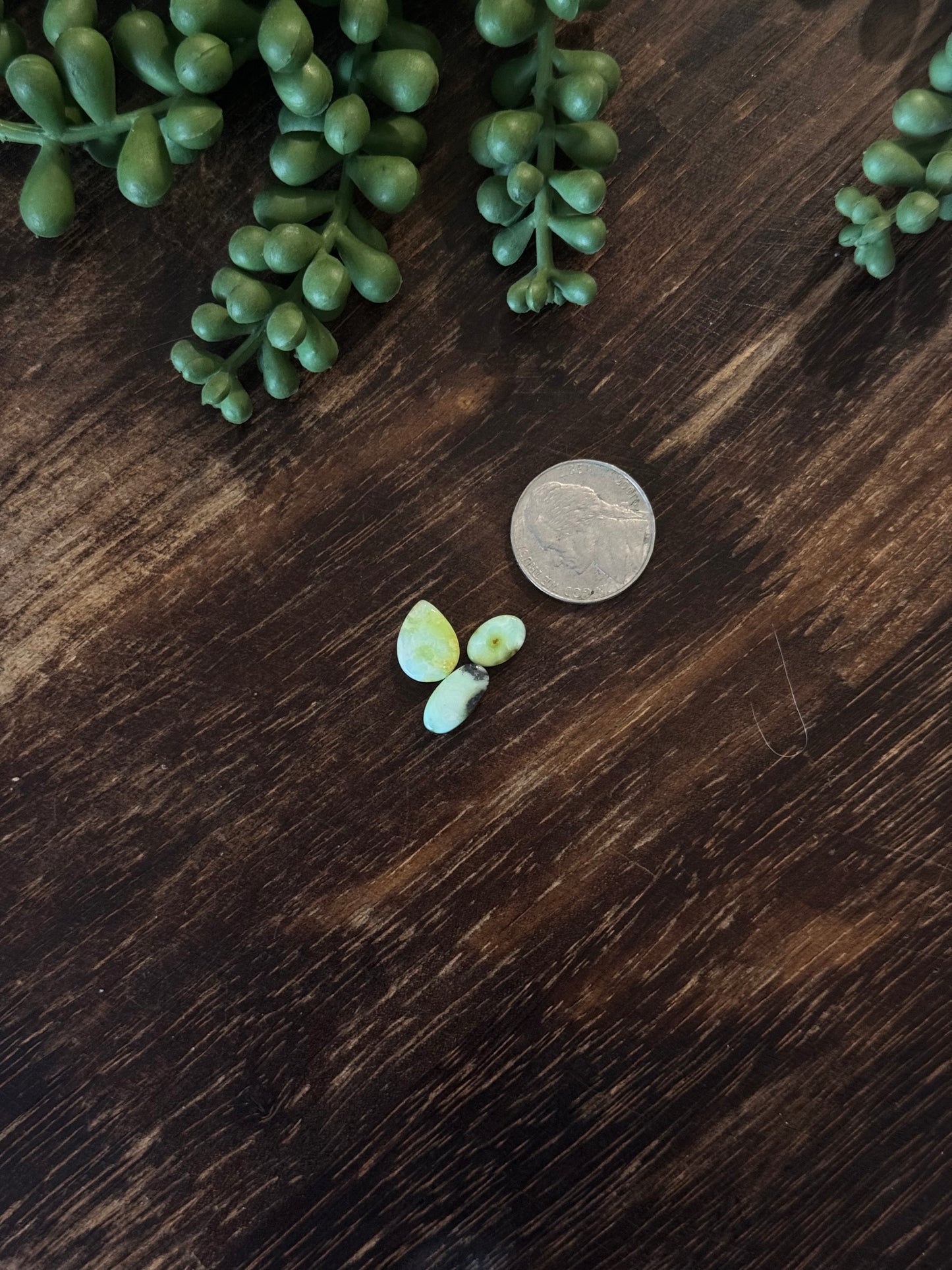 Palomino Variscite Cabs