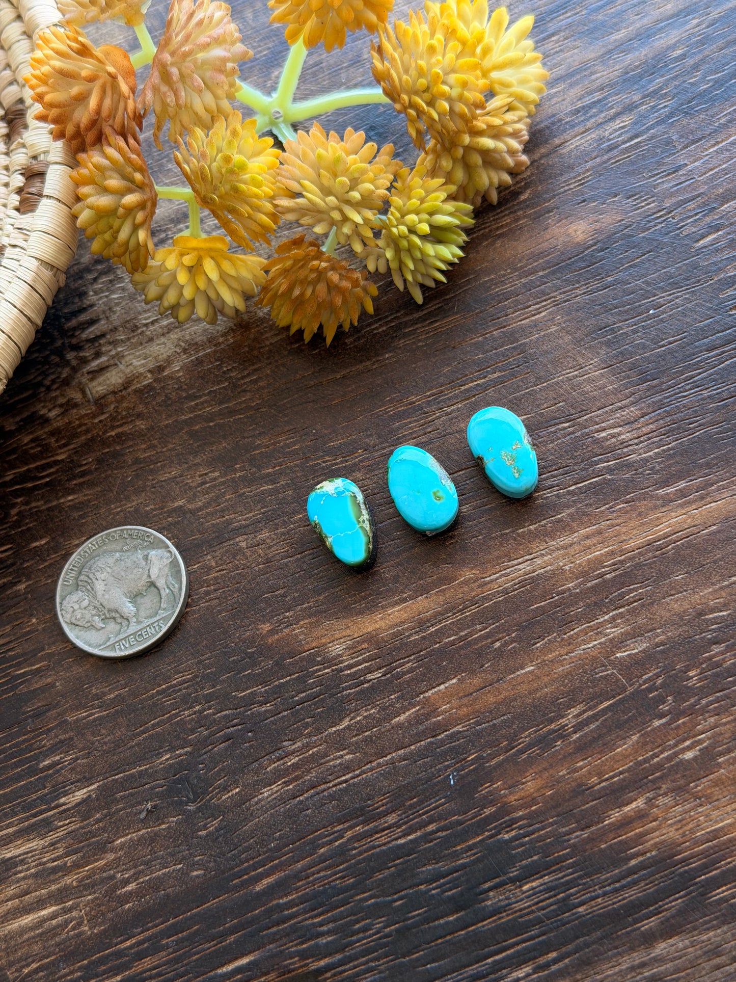 Sonoran Mountain Turquoise Cabs