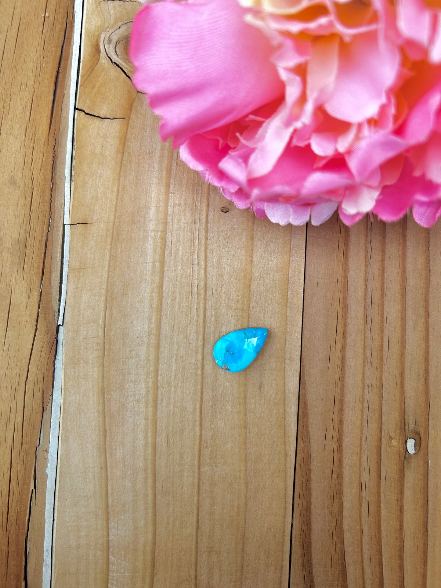 Blue Bird Turquoise Cabs