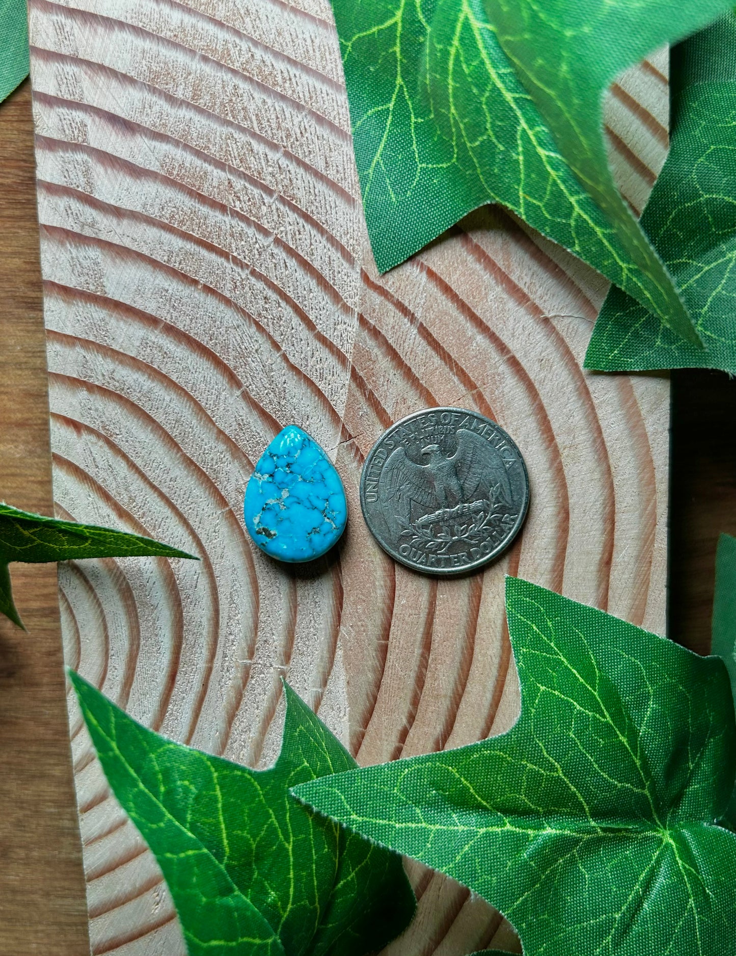 Blue Bird Turquoise Cabs