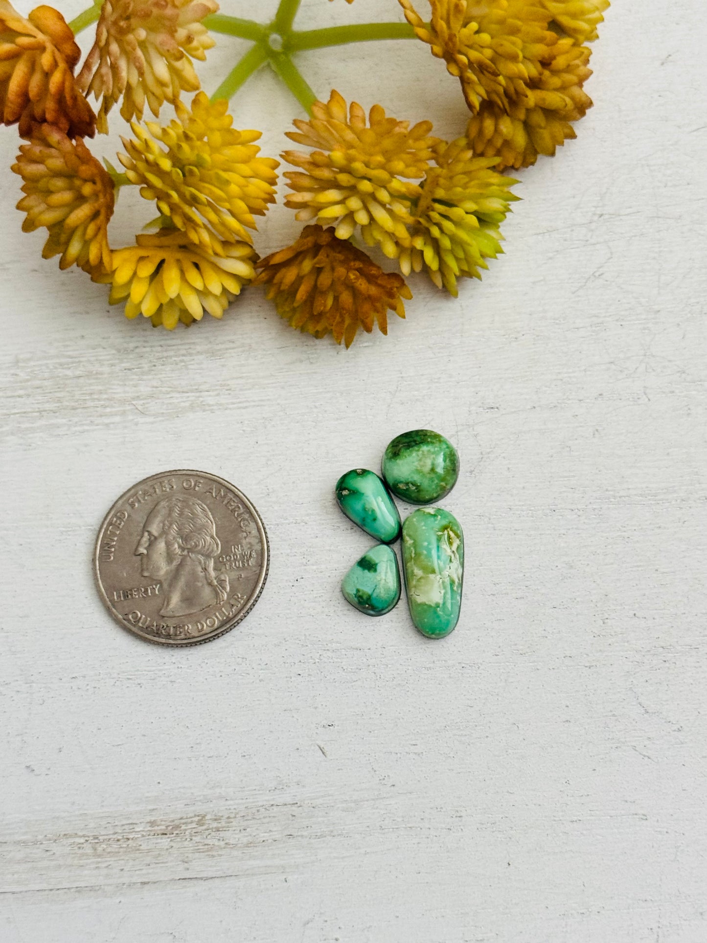 Natural Sonoran Gold Turquoise Cabs