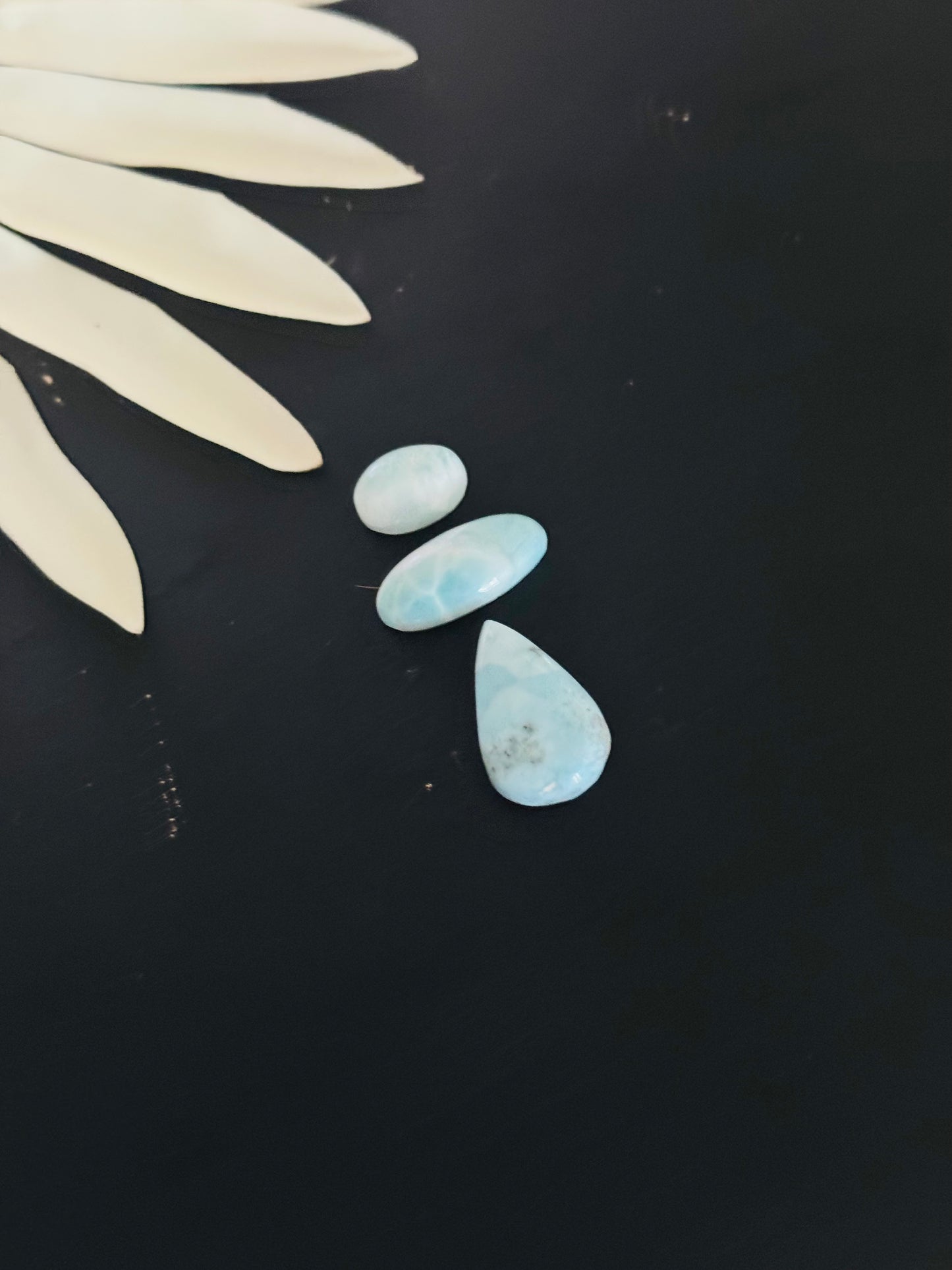 Larimar Cabs