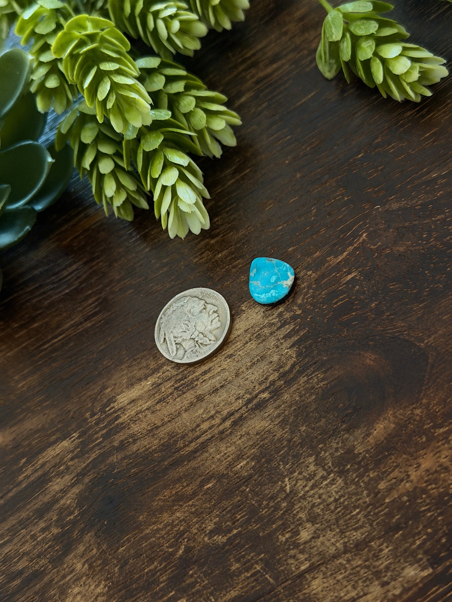 Blue Bird Turquoise Cab