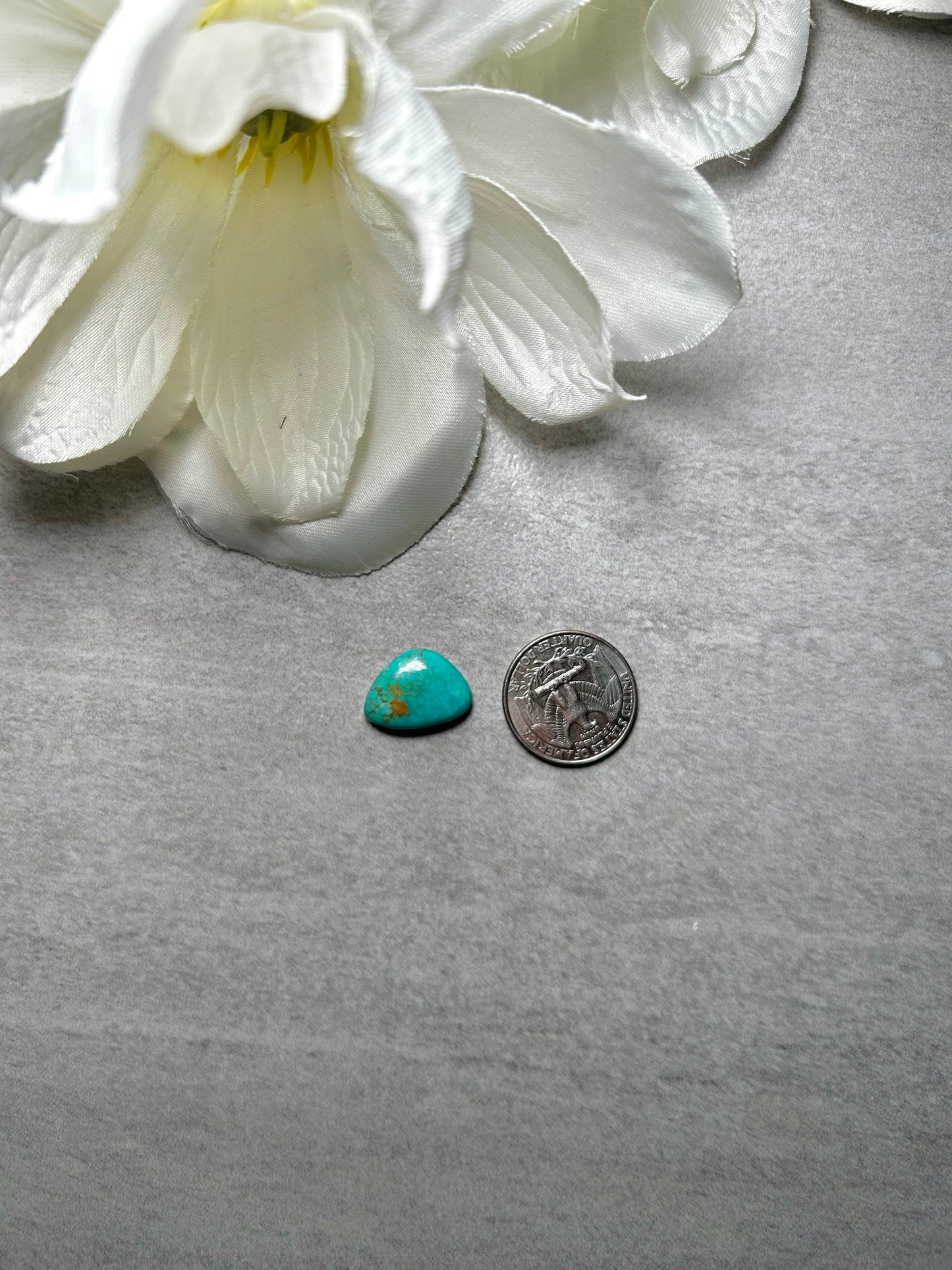 Kingman Turquoise Cab