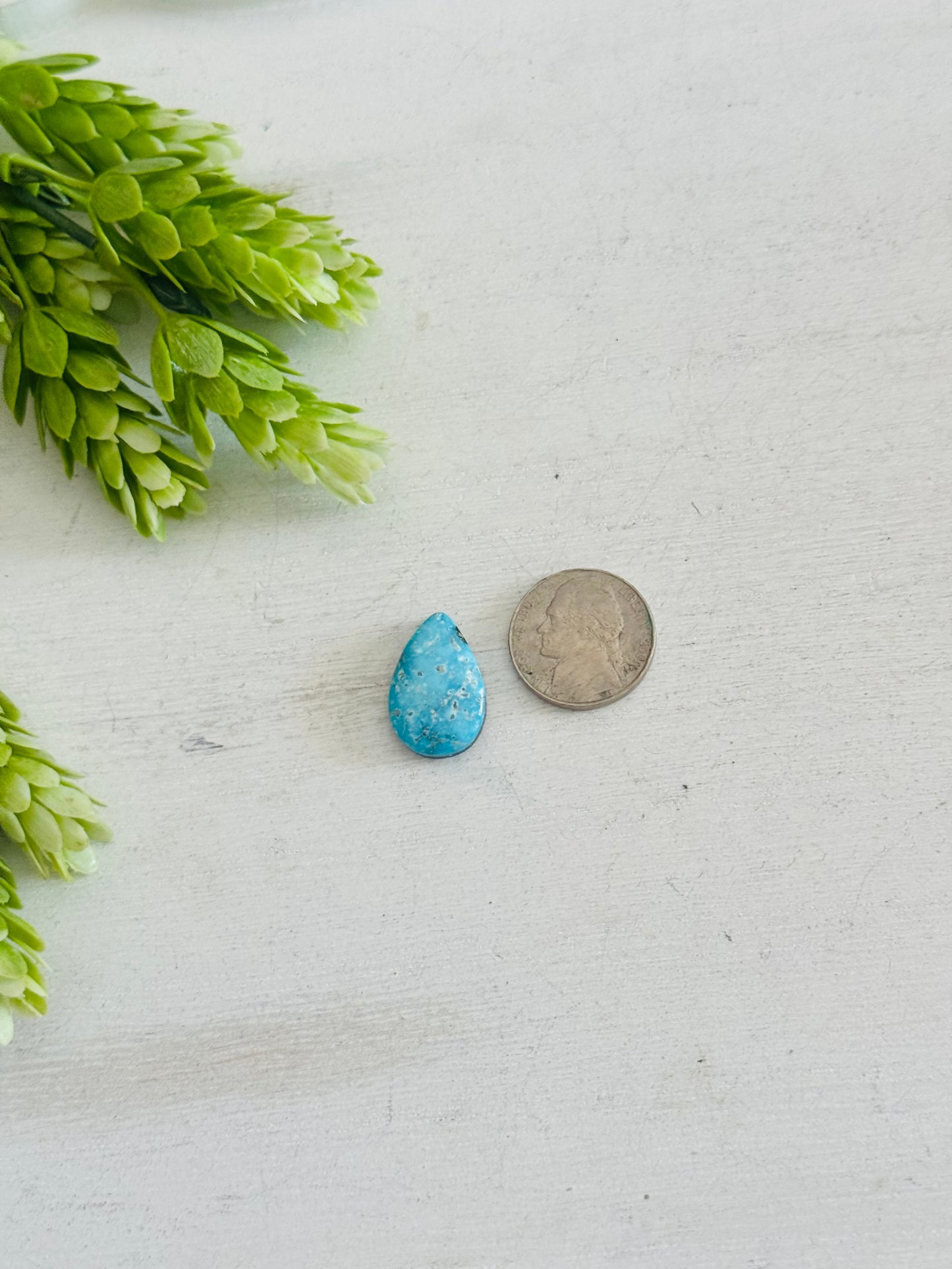 Blue Bird Turquoise Cab