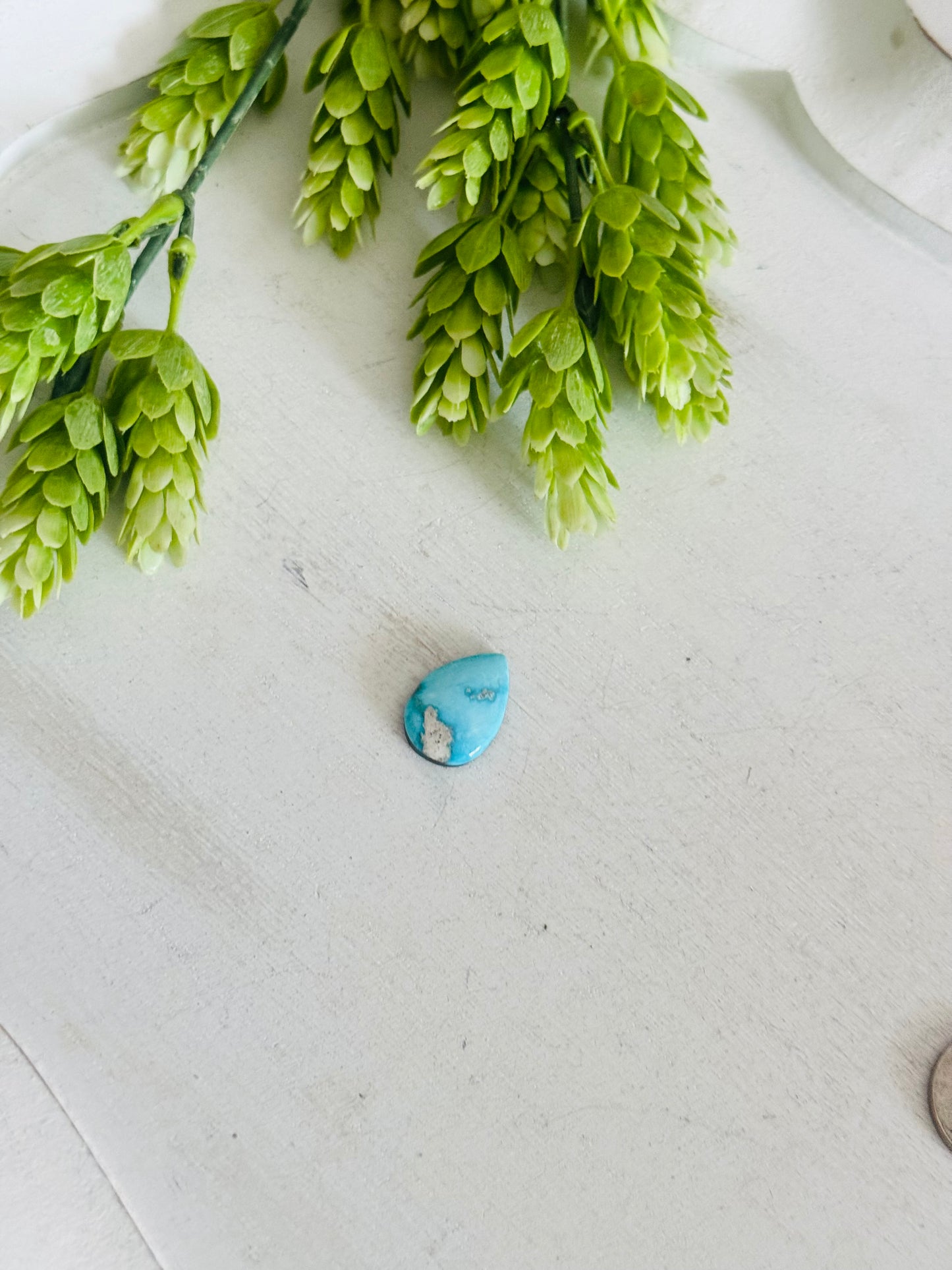 Blue Bird Turquoise Cab