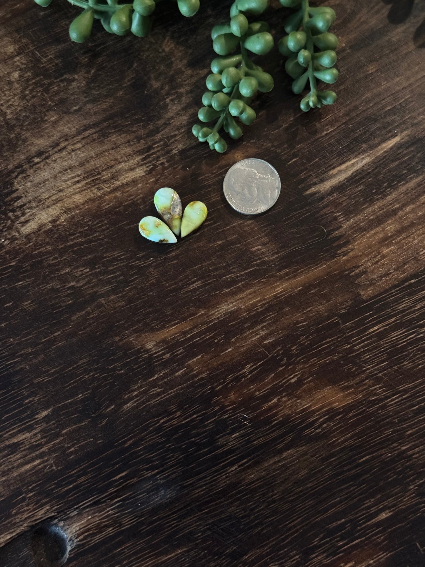 Palomino Variscite Cabs