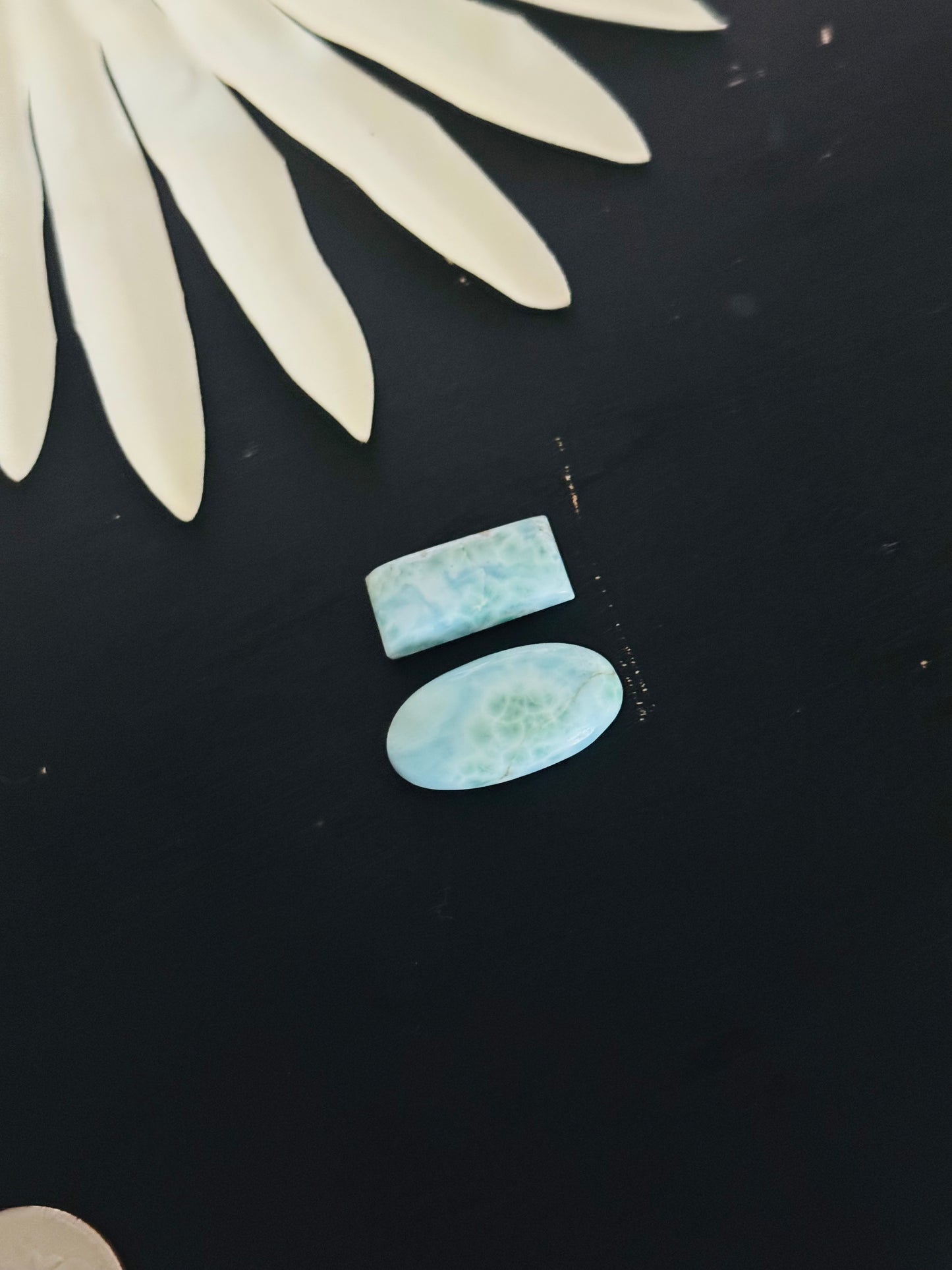 Larimar Cabs