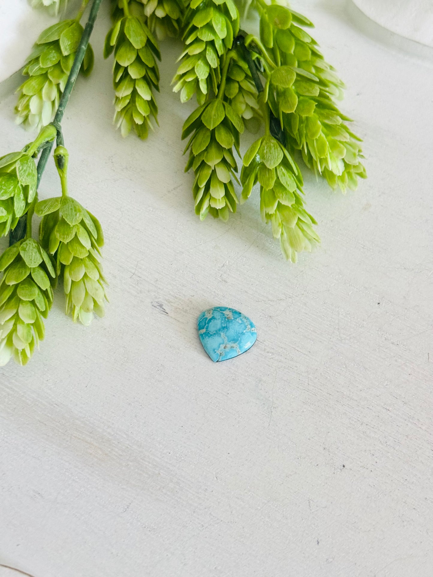 Blue Bird Turquoise Cab