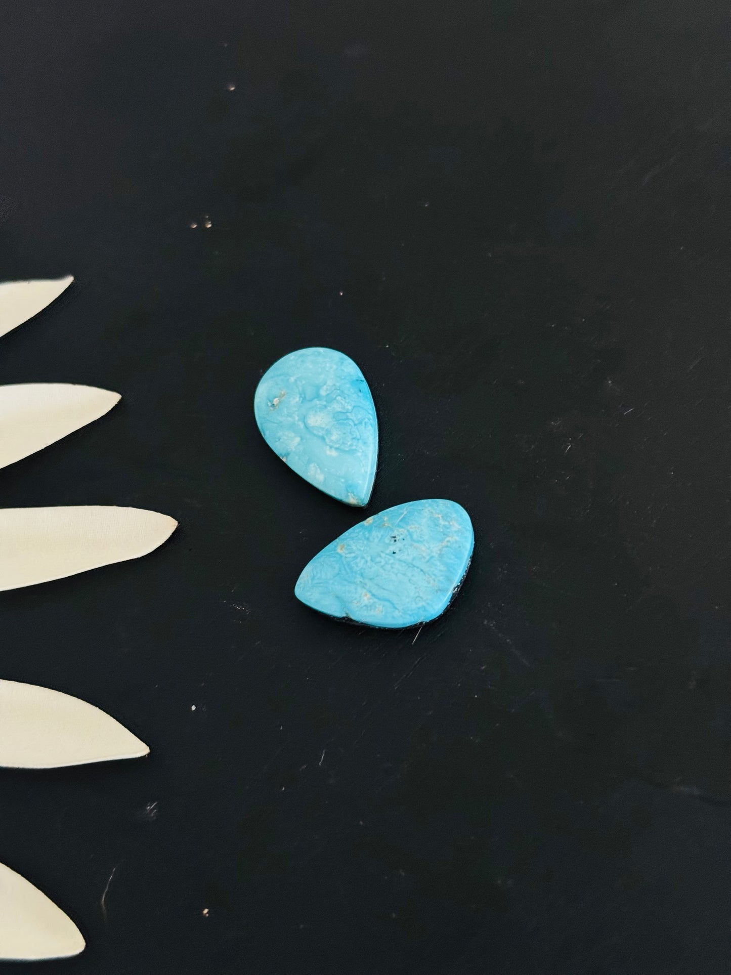 Blue Bird Turquoise Cabs
