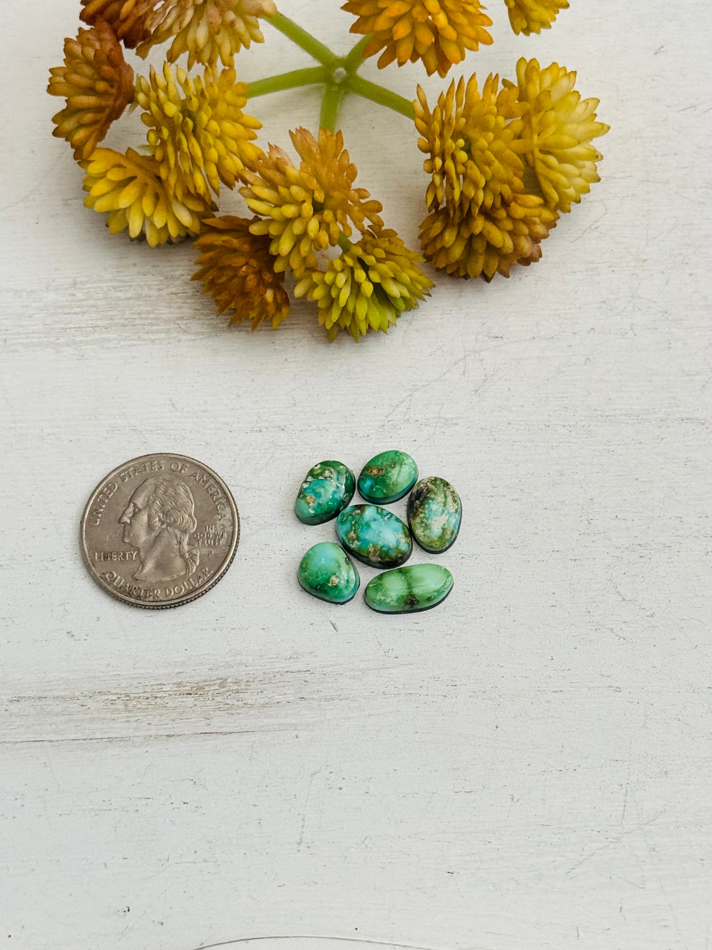 Natural Sonoran Gold Turquoise Cabs