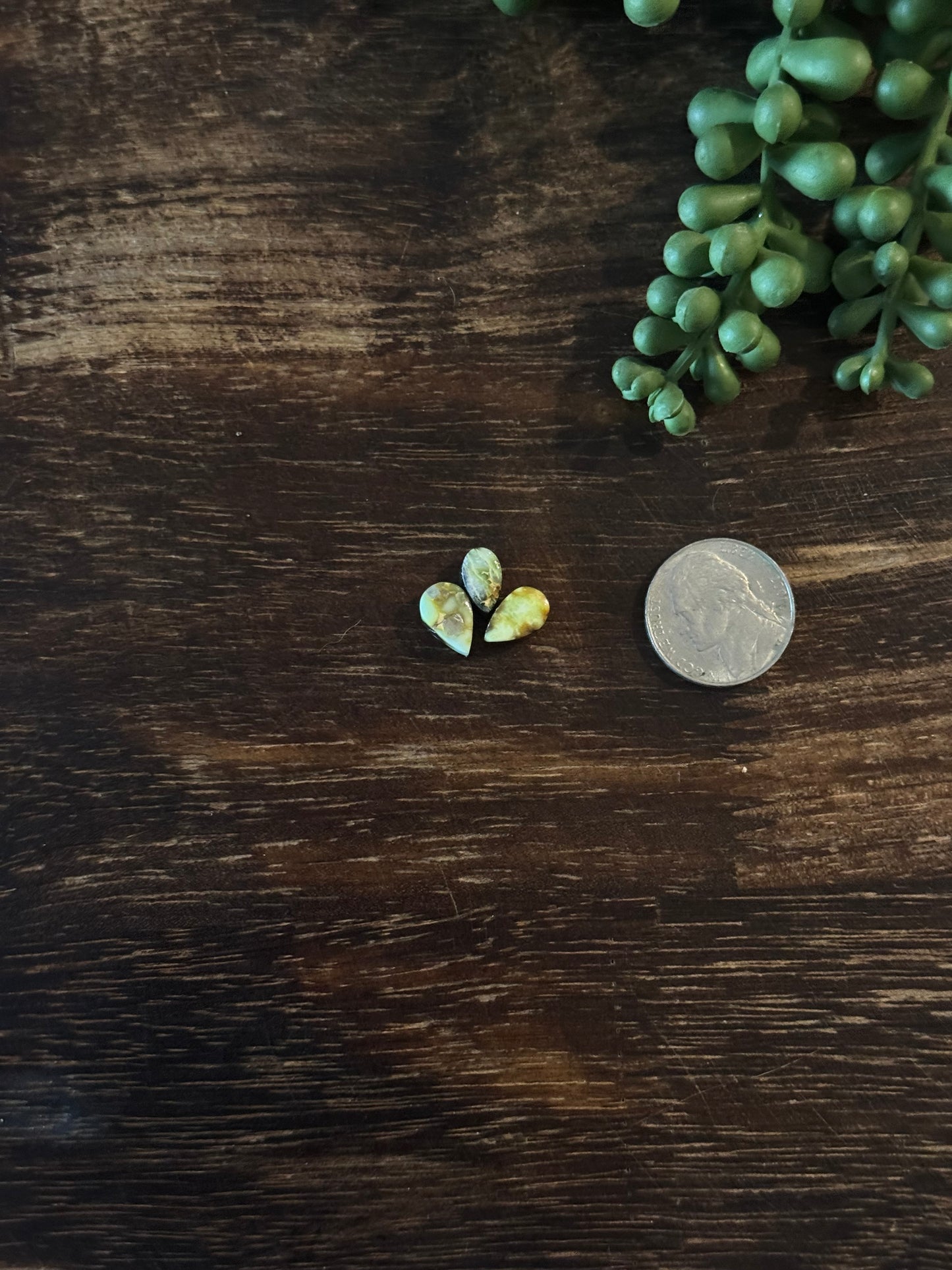 Palomino Variscite Cabs