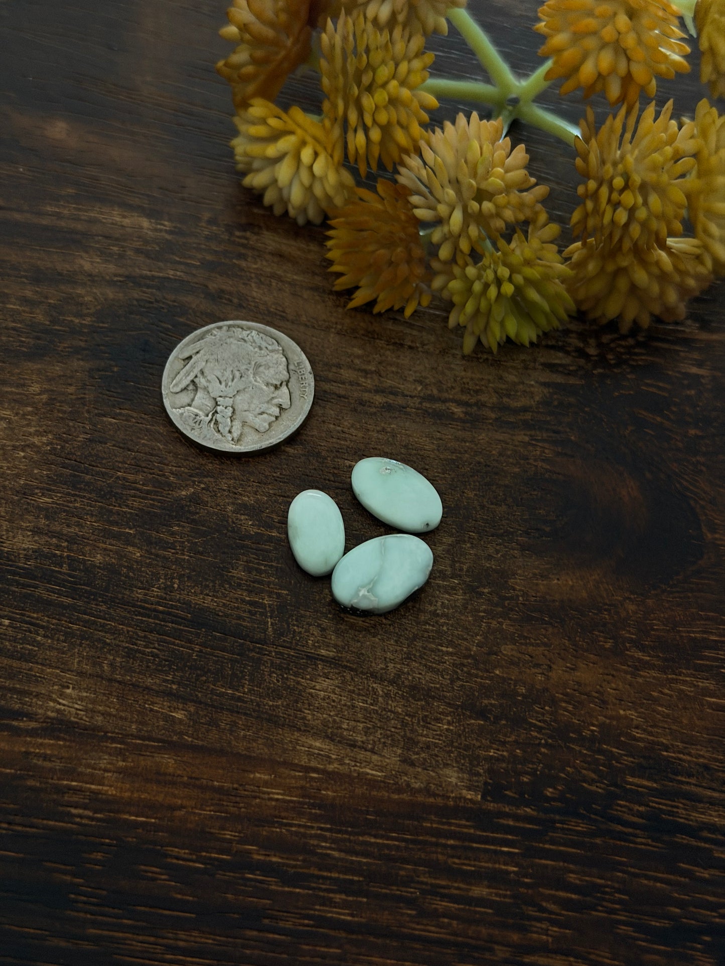 Paloma Variscite Cabs