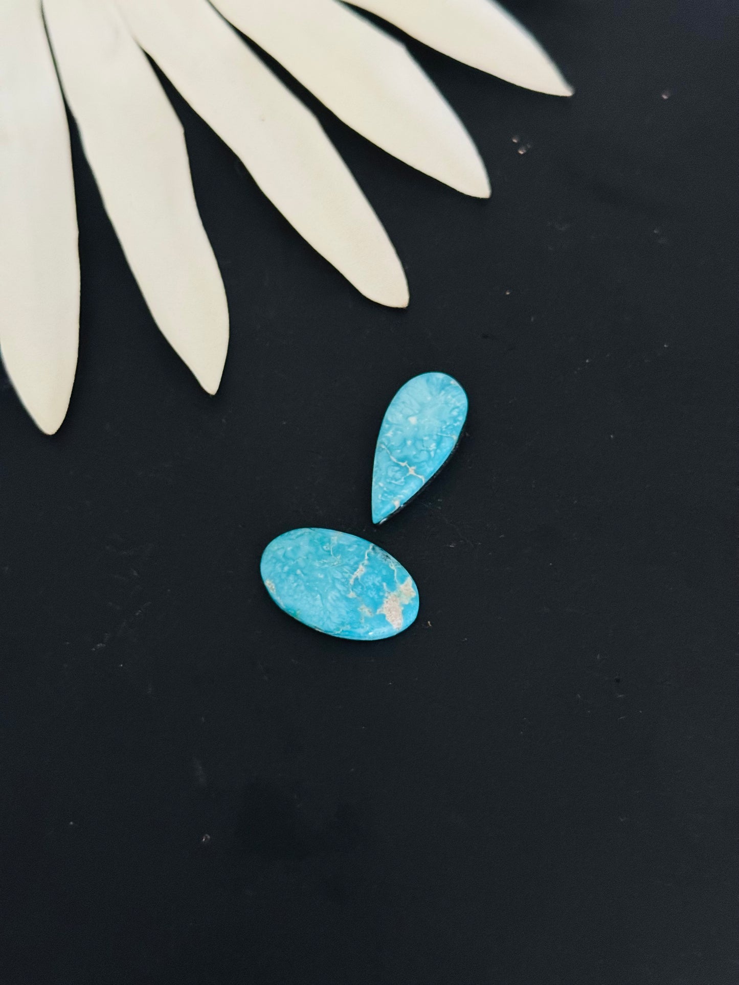 Blue Bird Turquoise Cabs