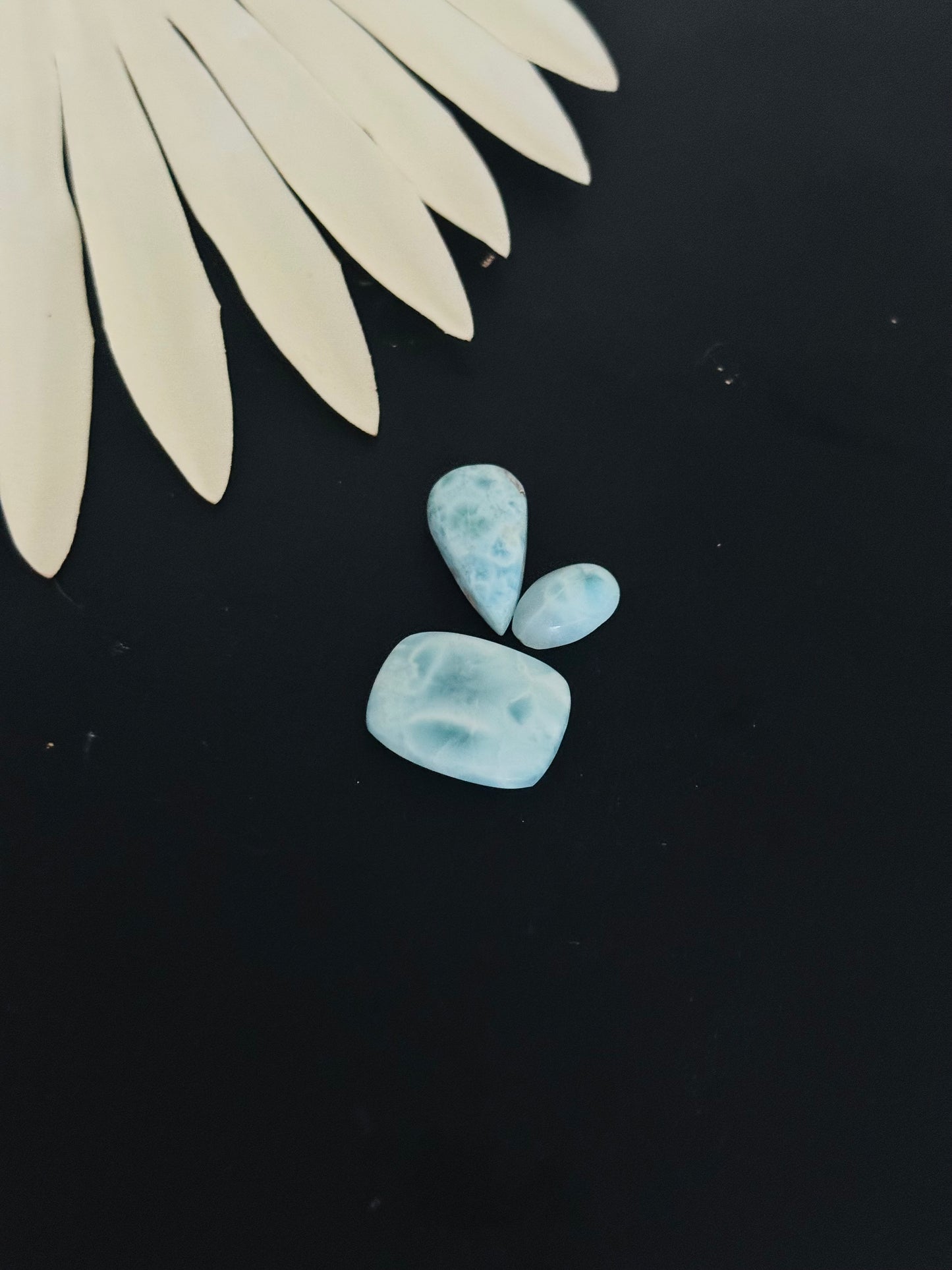 Larimar Cabs
