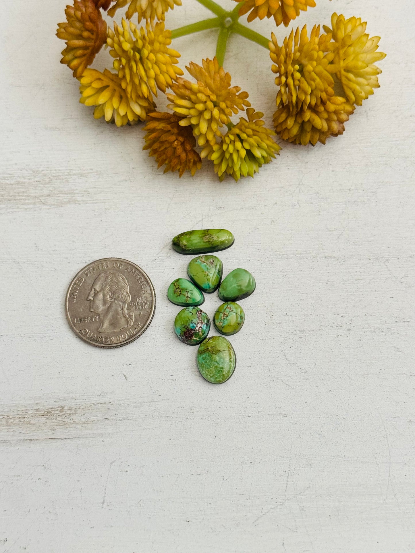 Natural Sonoran Gold Turquoise Cabs