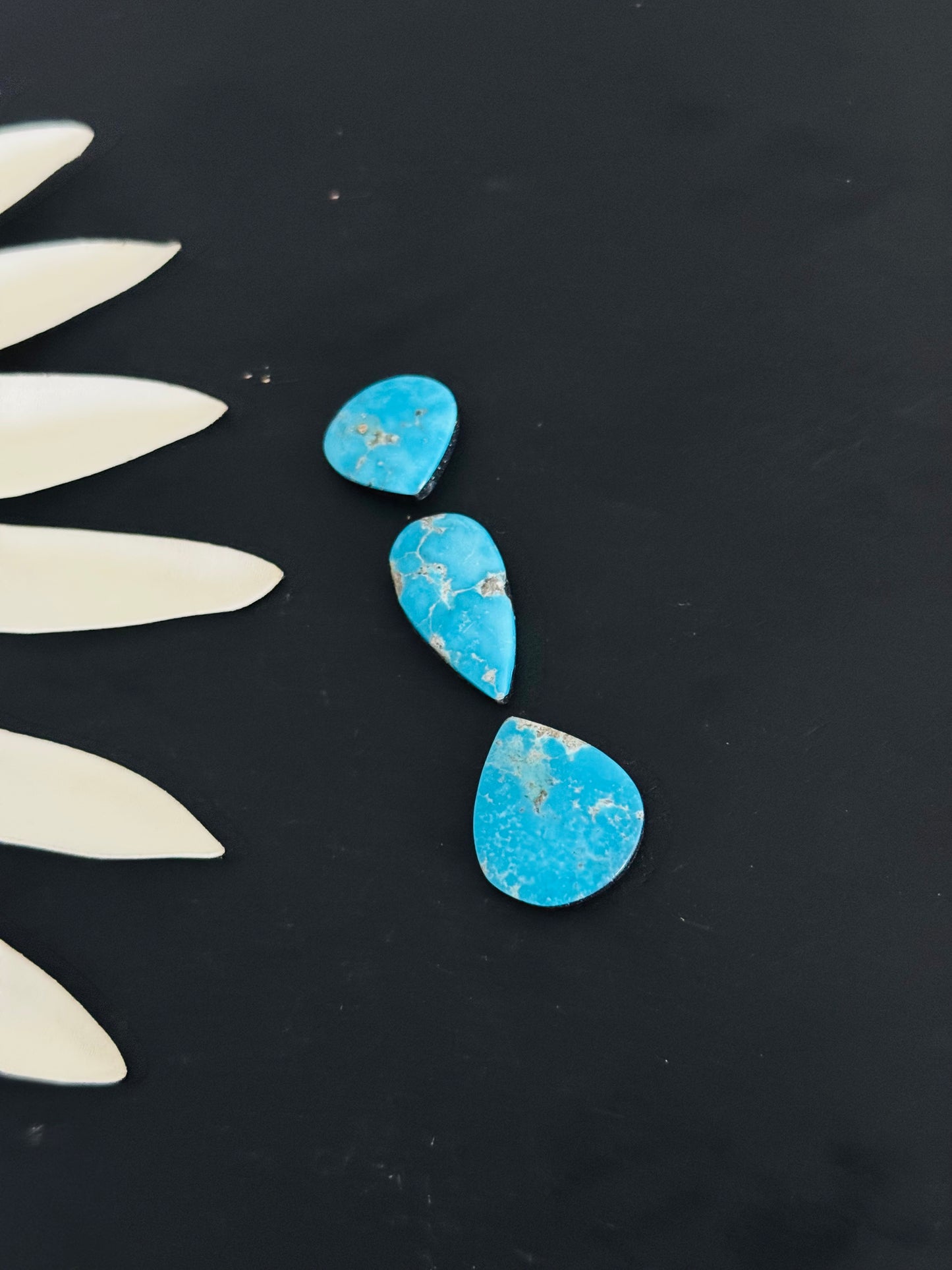 Blue Bird Turquoise Cabs