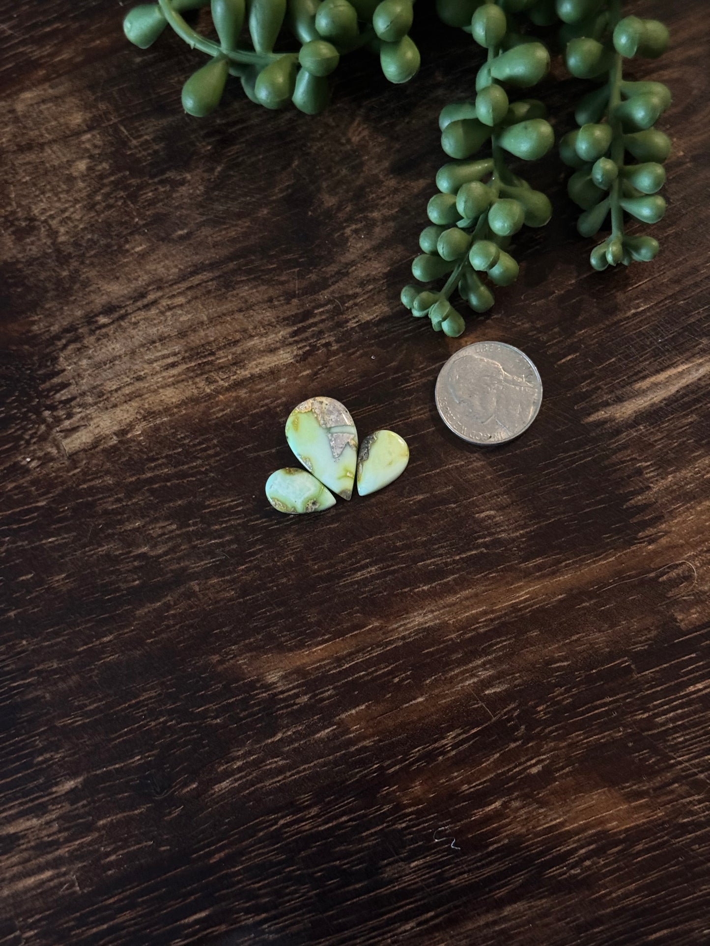 Palomino Variscite Cabs