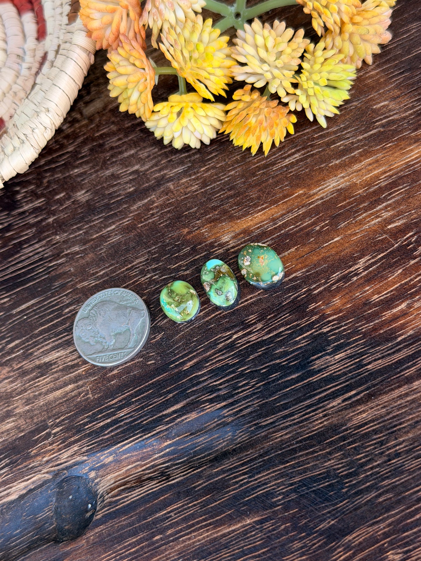 Sonoran Mountain Turquoise Cabs