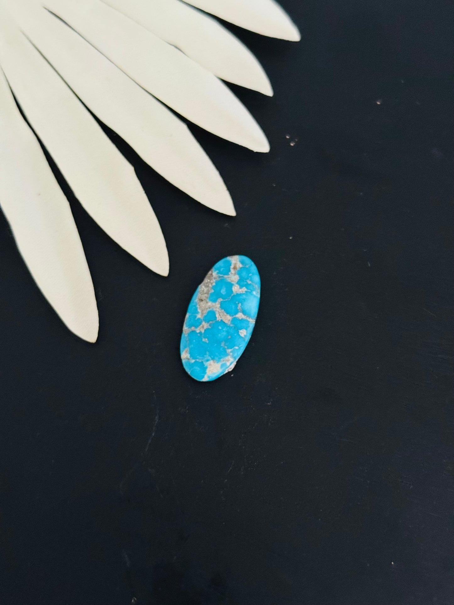Blue Bird Turquoise Cabs