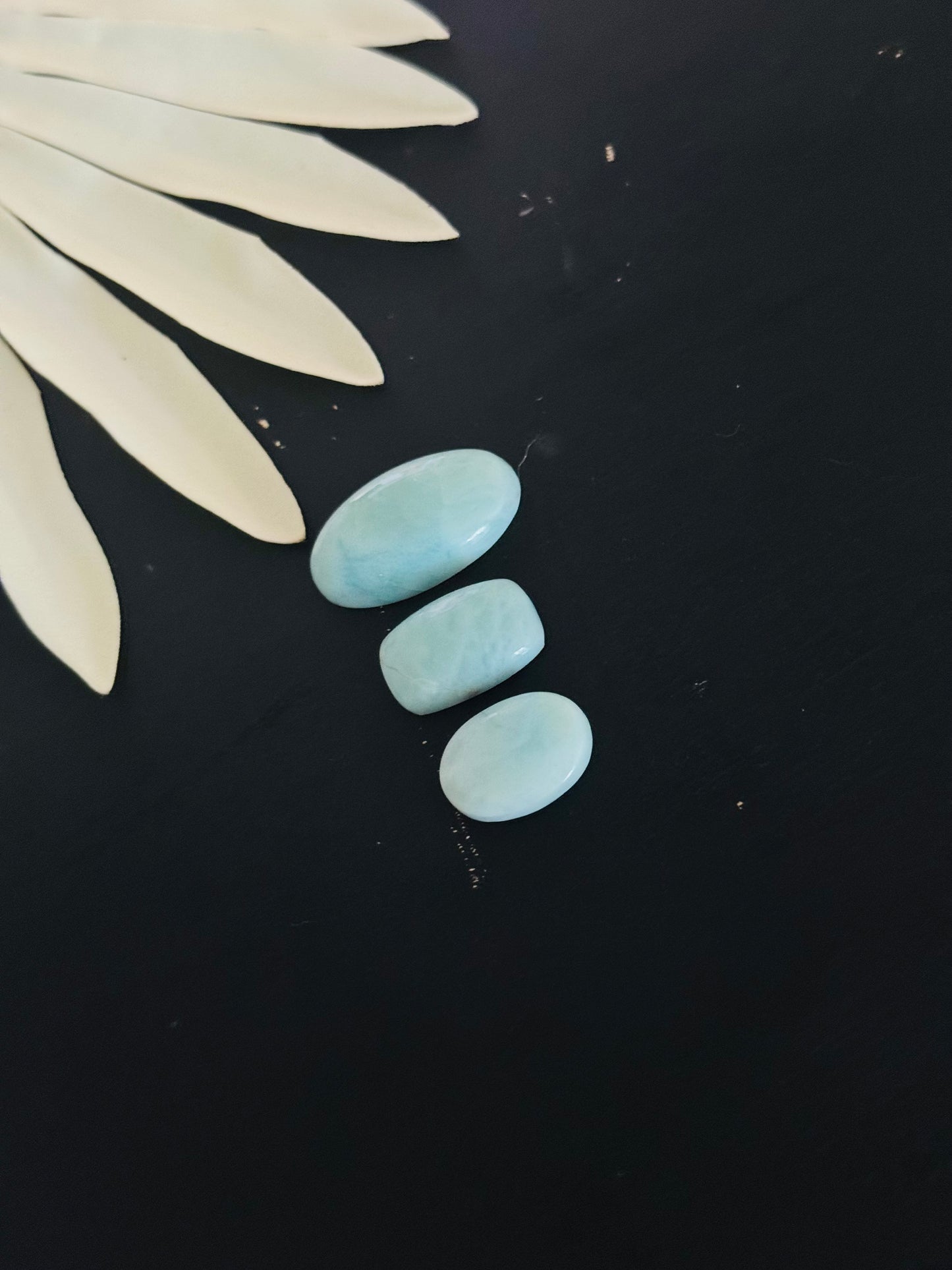 Larimar Cabs