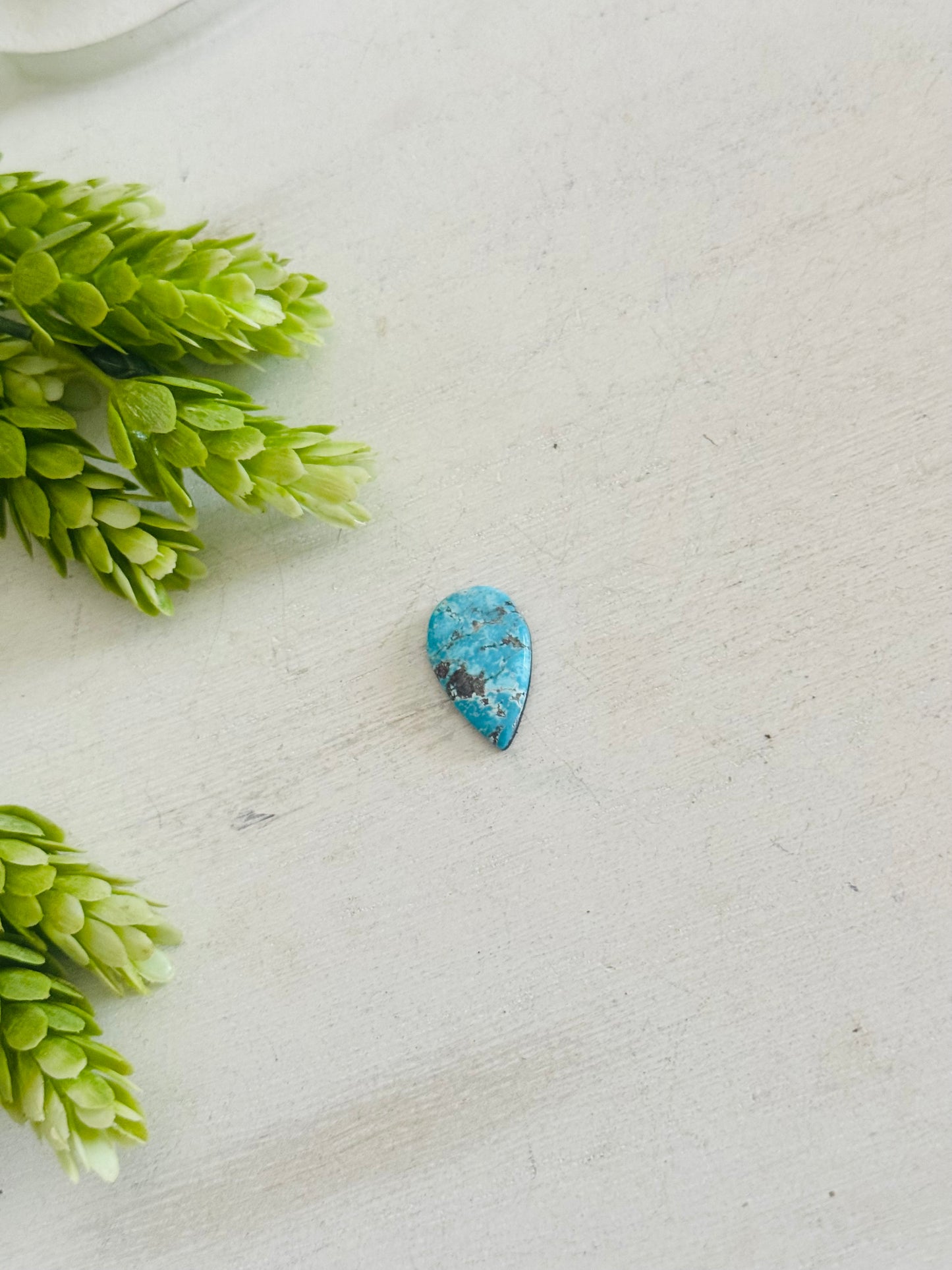 Blue Bird Turquoise Cab