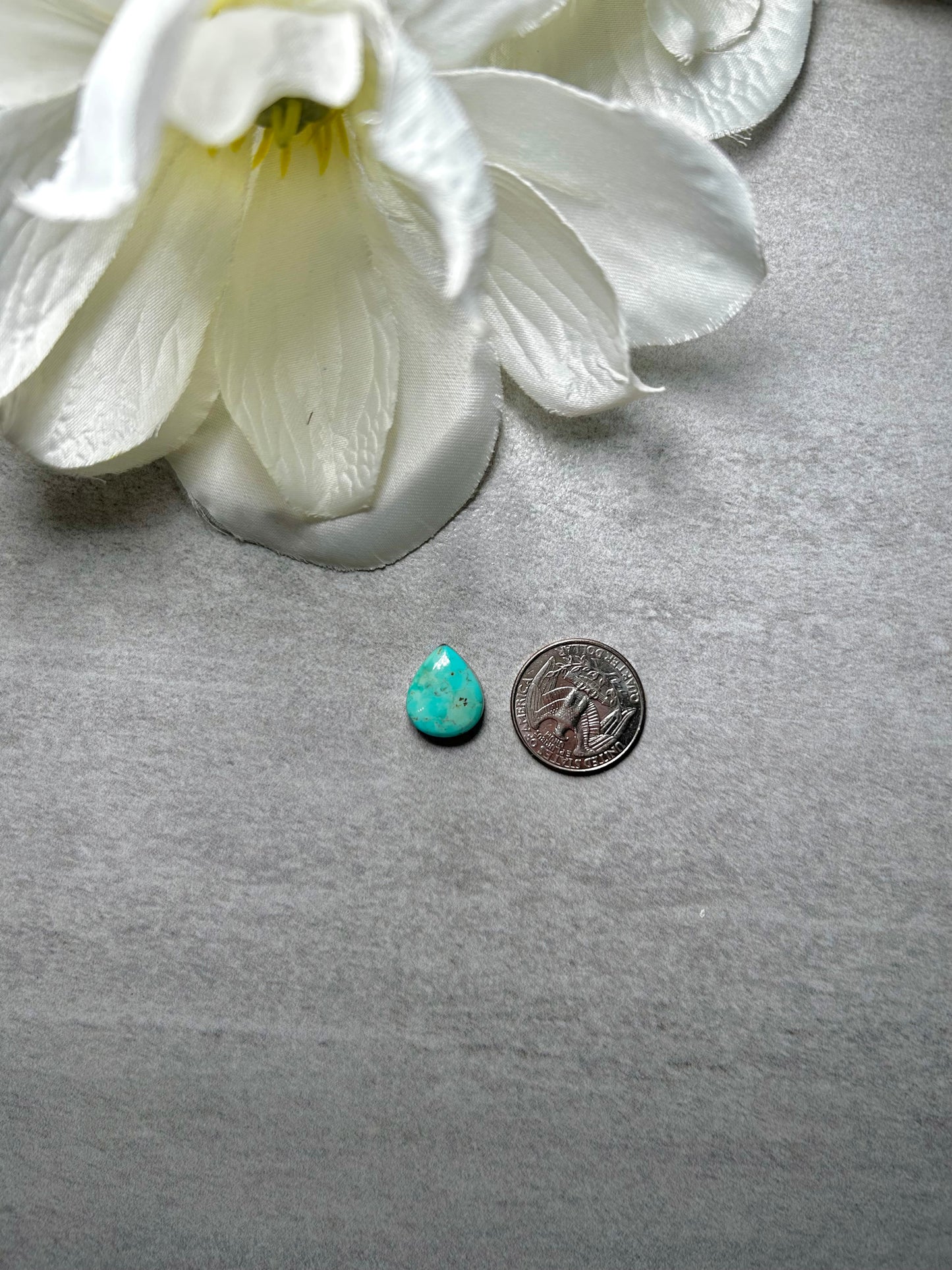 Kingman Turquoise Cab