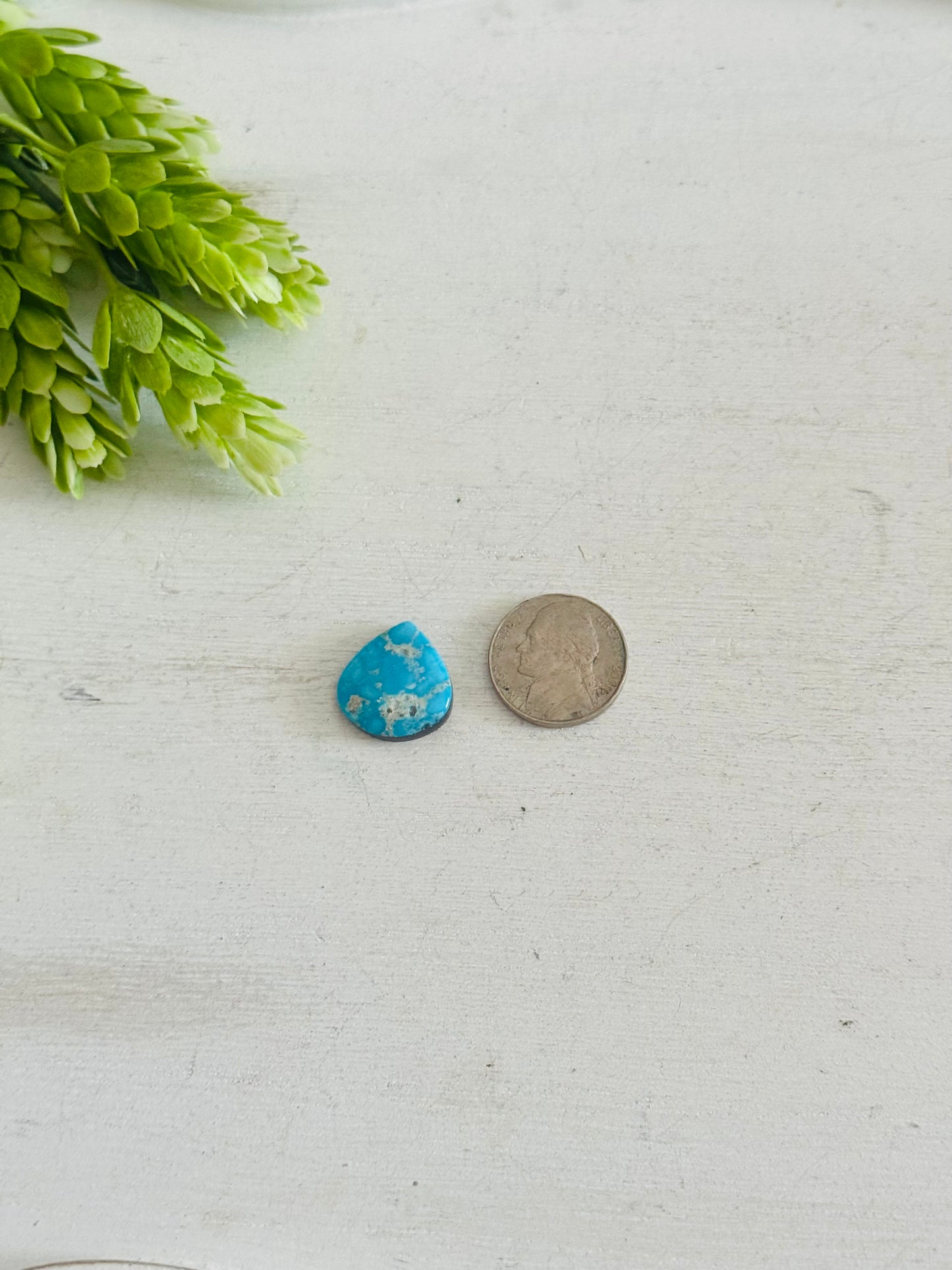 Blue Bird Turquoise Cab