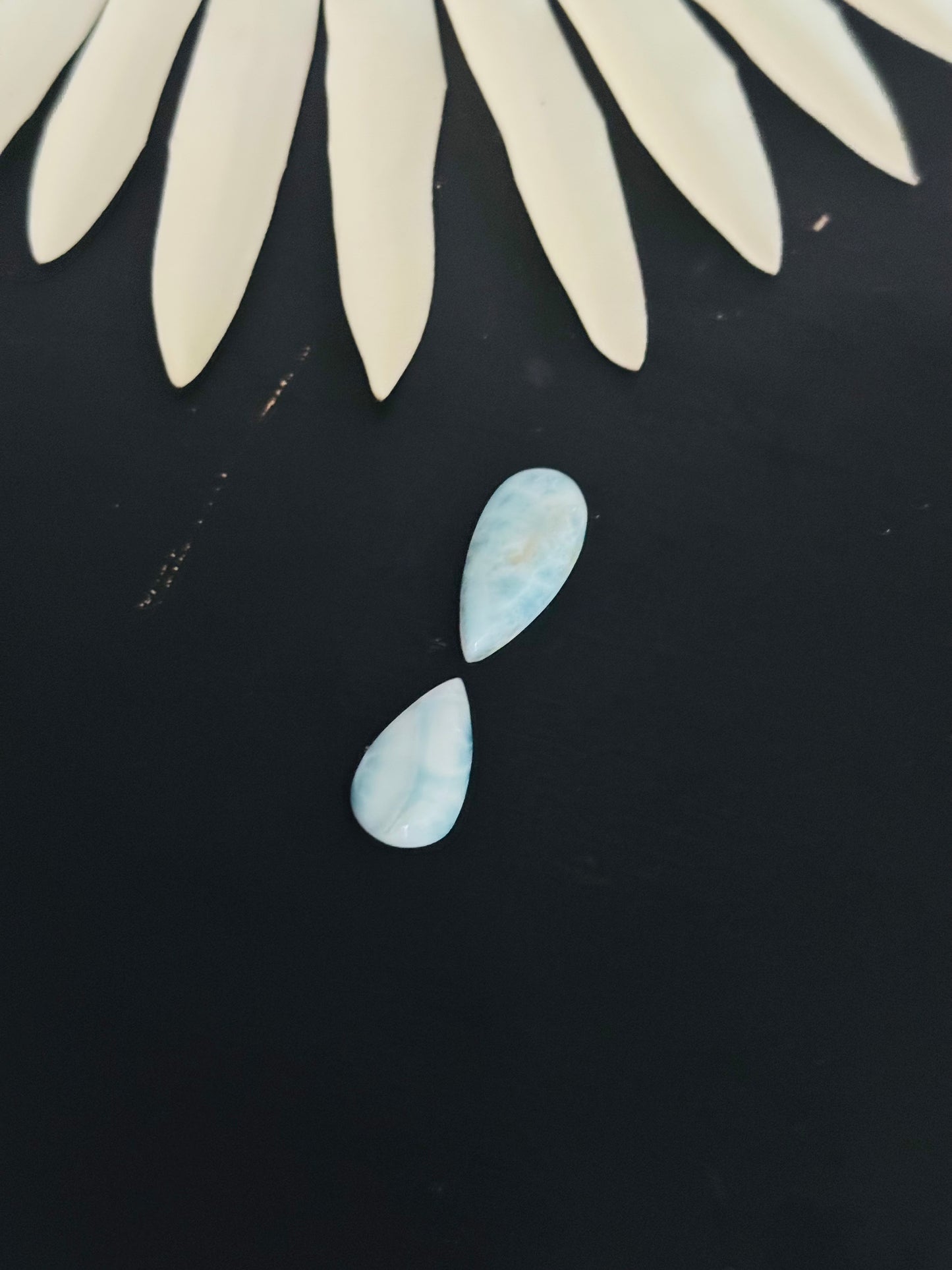 Larimar Cabs