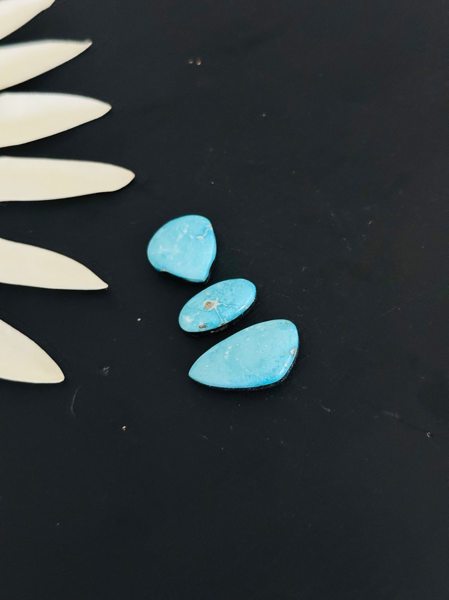 Blue Bird Turquoise Cabs