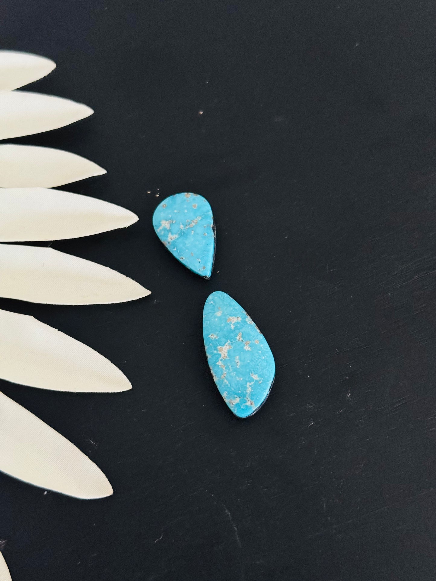 Blue Bird Turquoise Cabs