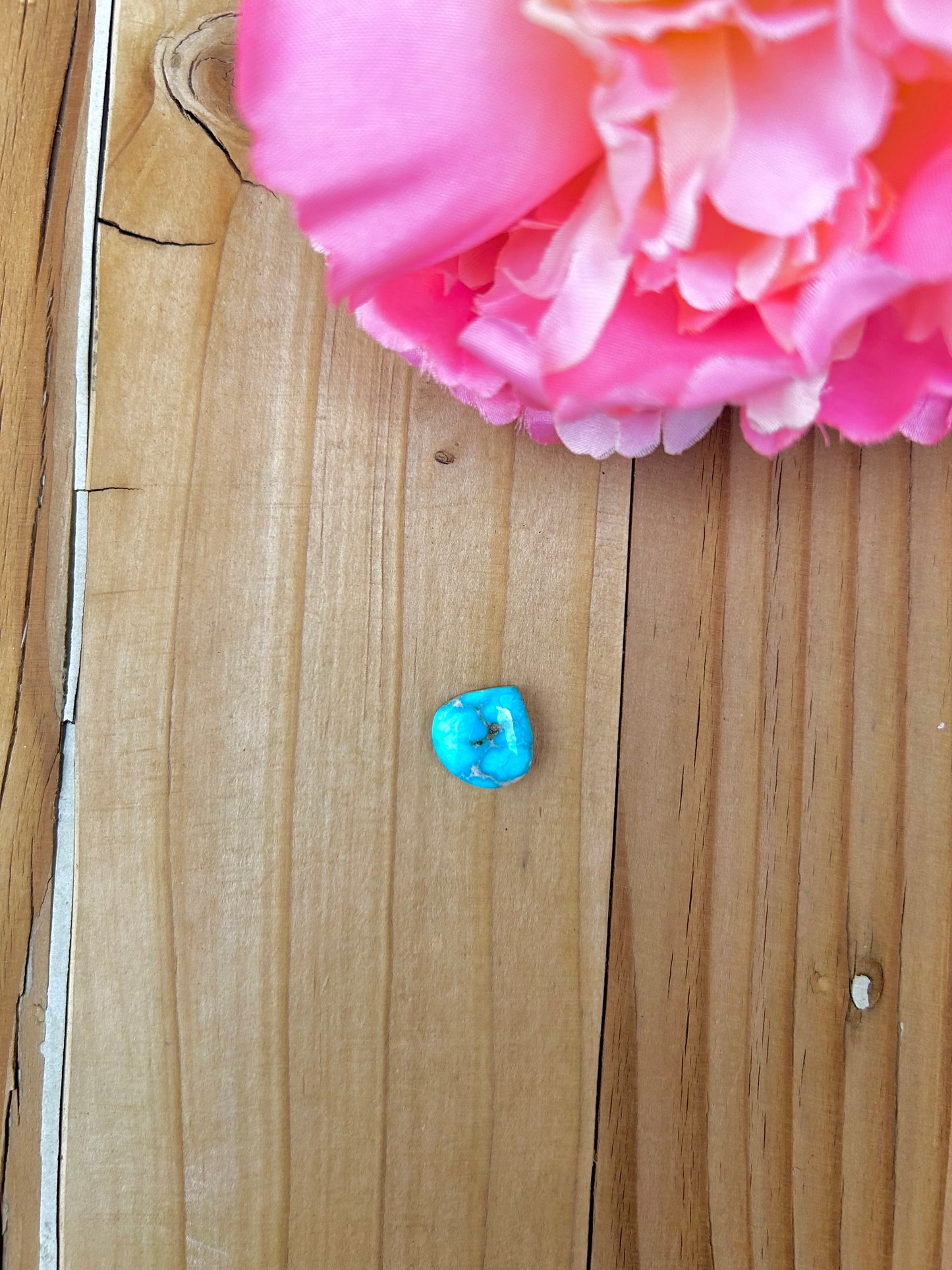 Blue Bird Turquoise Cabs