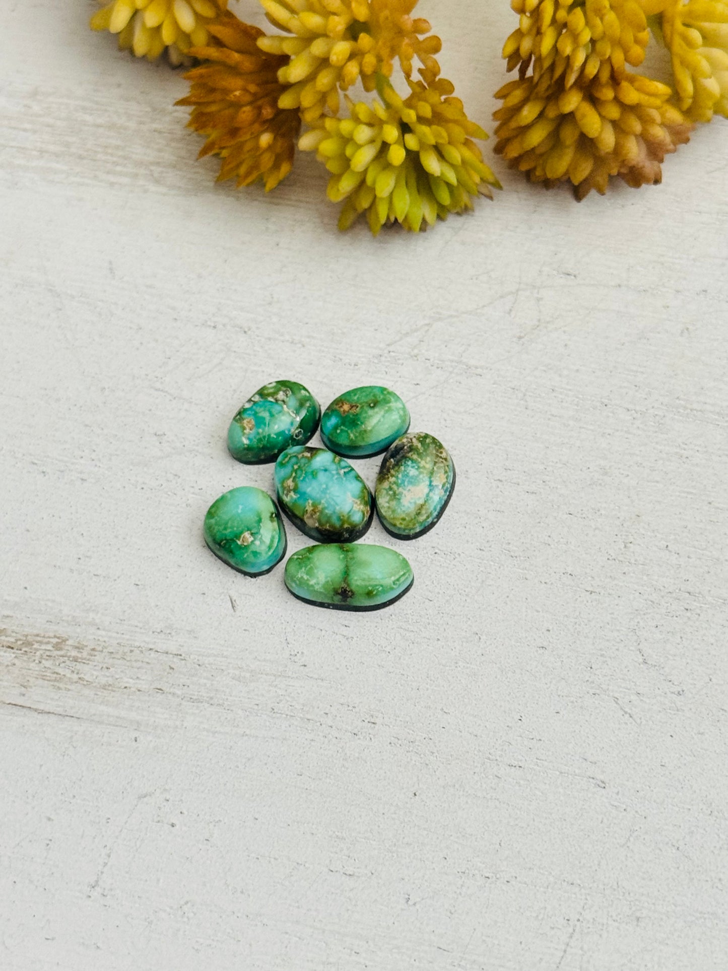 Natural Sonoran Gold Turquoise Cabs