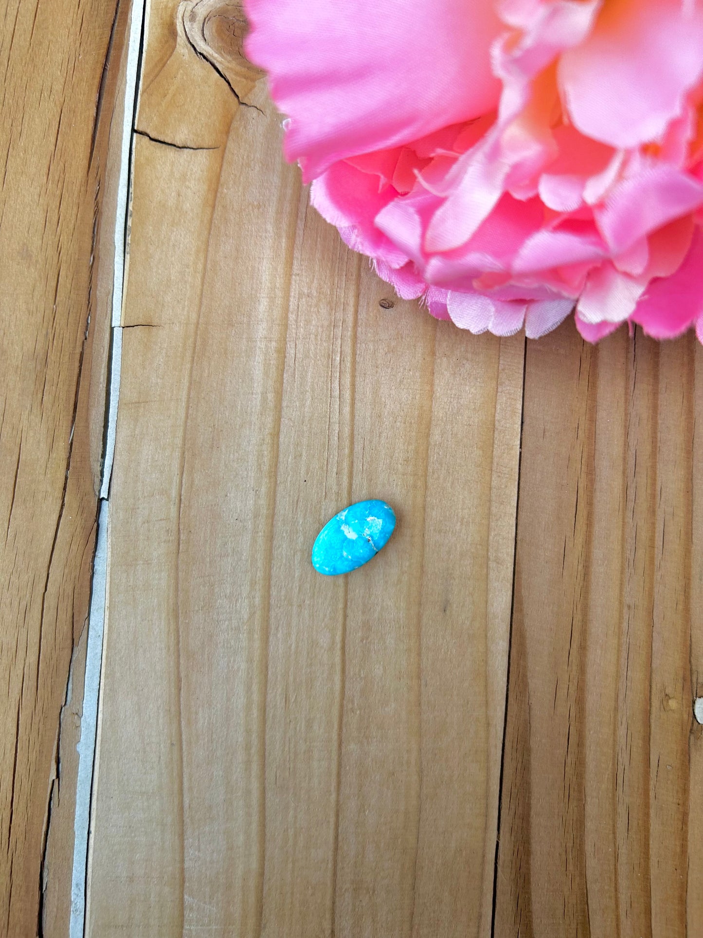 Blue Bird Turquoise Cabs