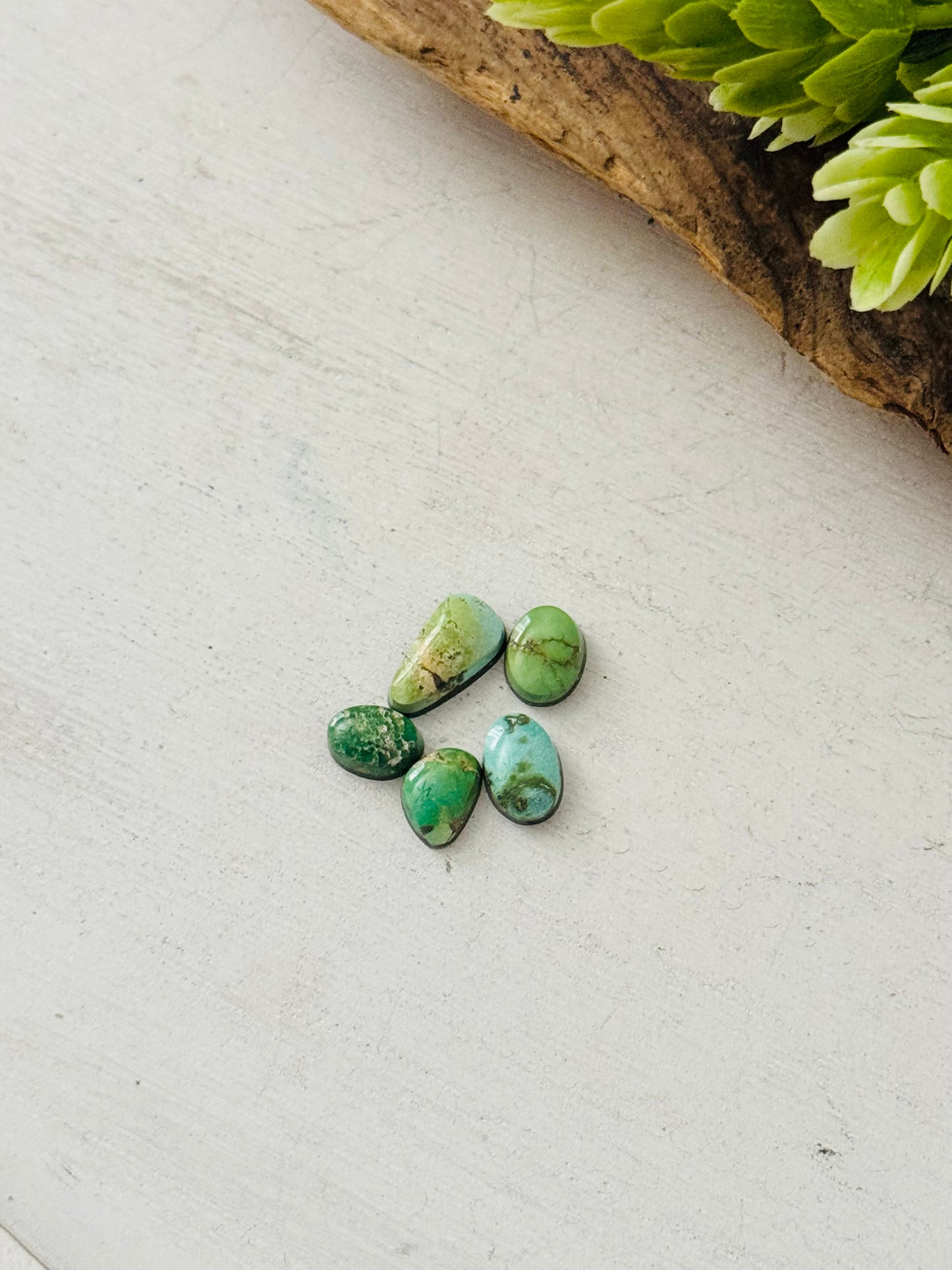 Natural Sonoran Gold Turquoise Cabs