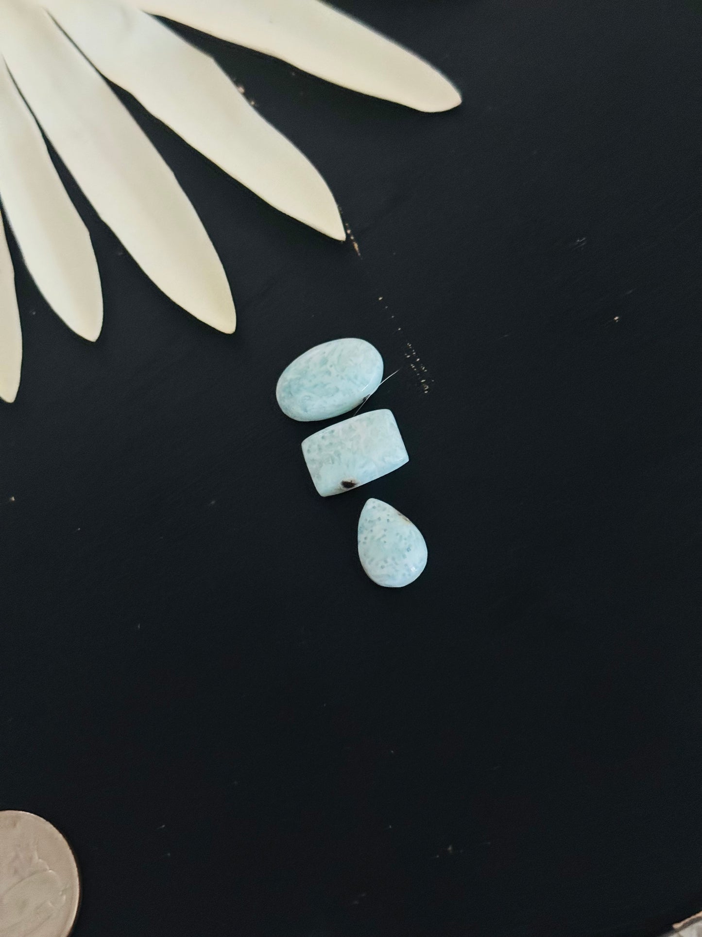 Larimar Cabs