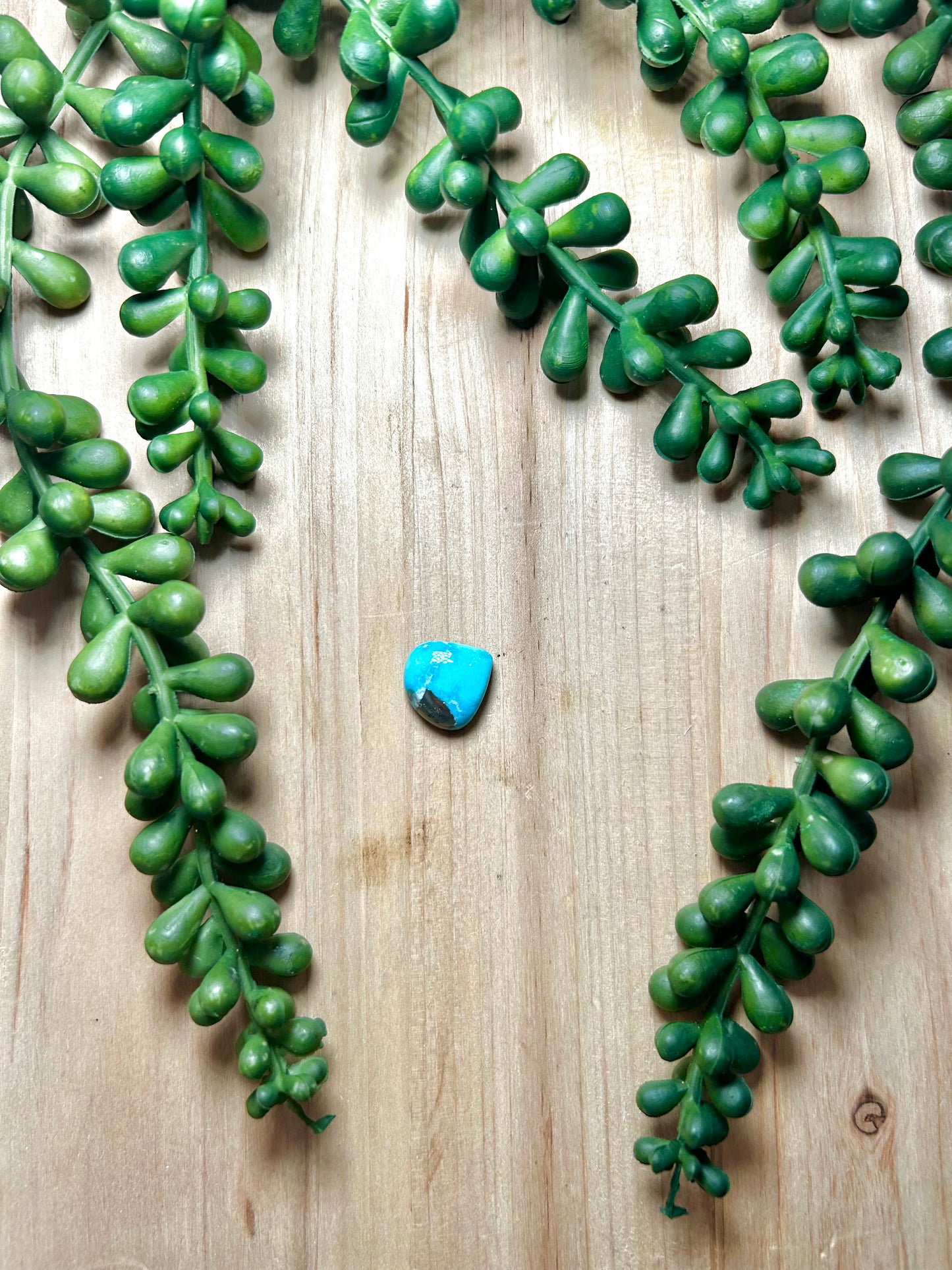 Blue Ridge Turquoise Cab