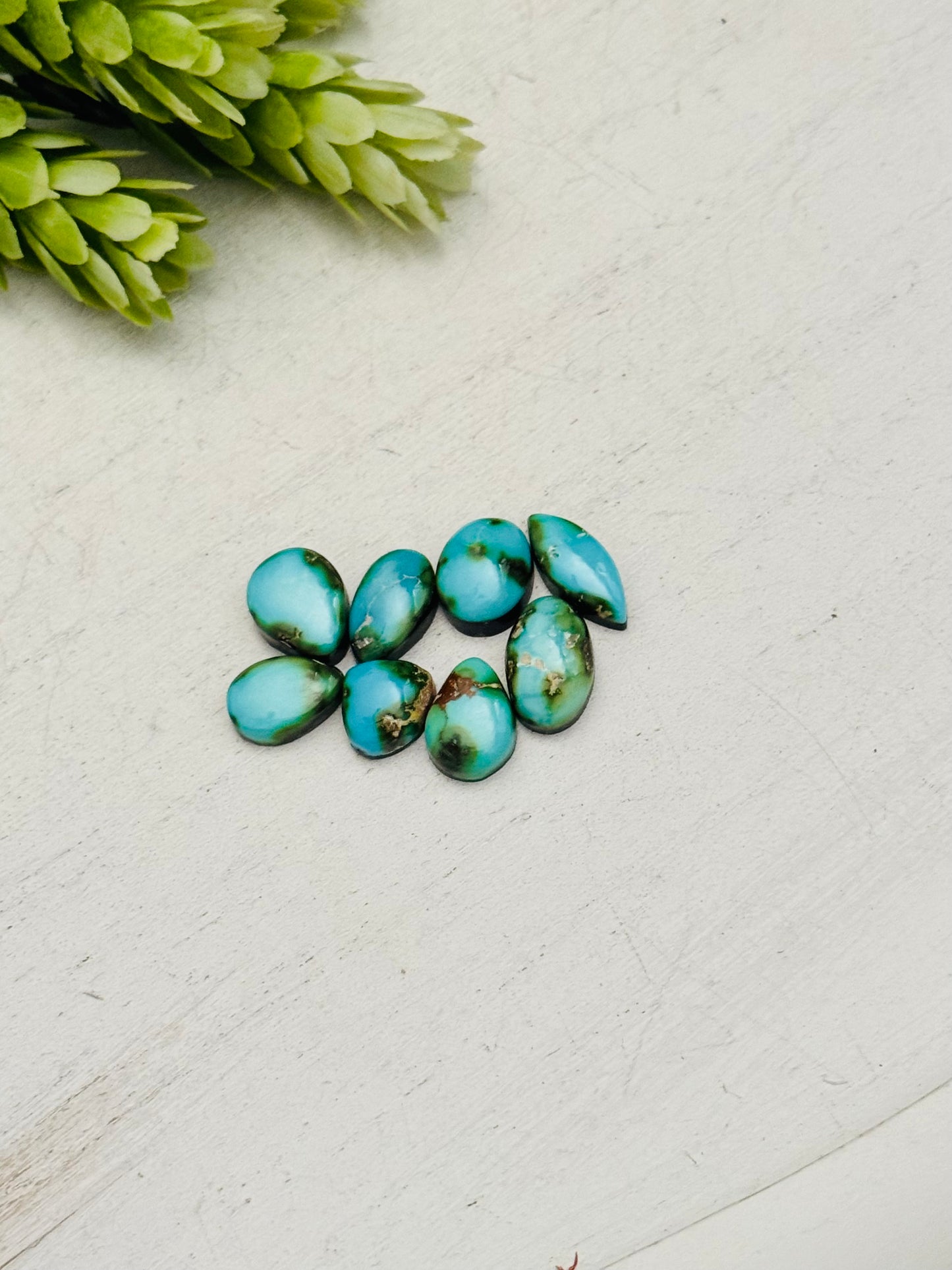 Sonoran Mountain Turquoise Backed Cabs