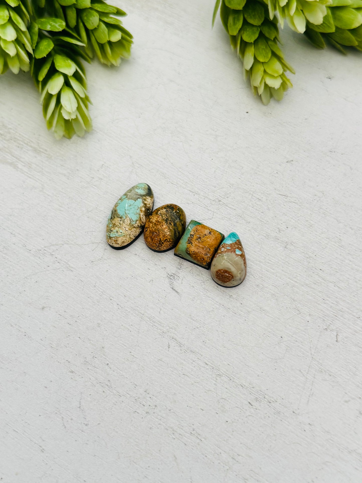 Evans Turquoise Cabs