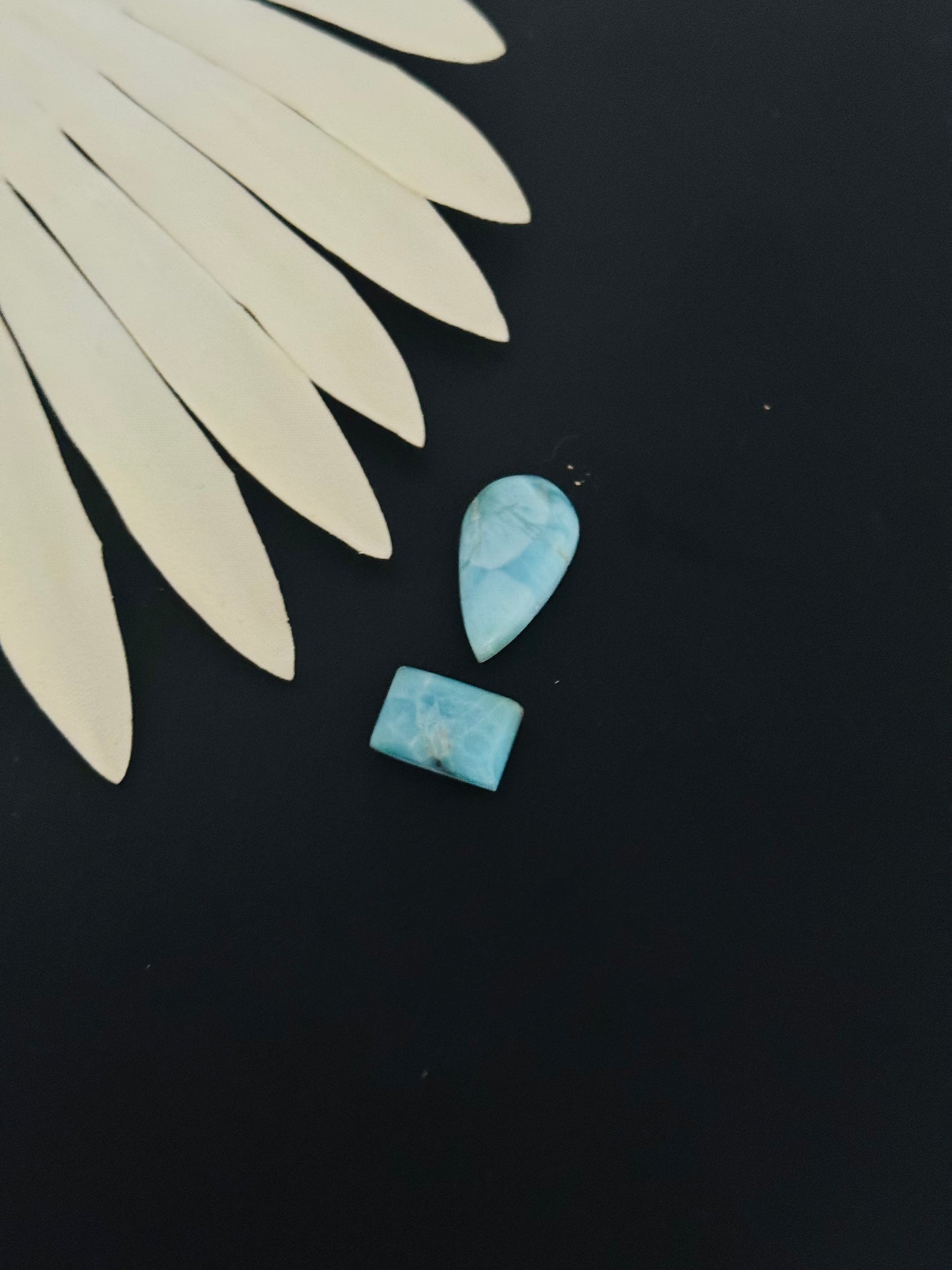 Larimar Cabs