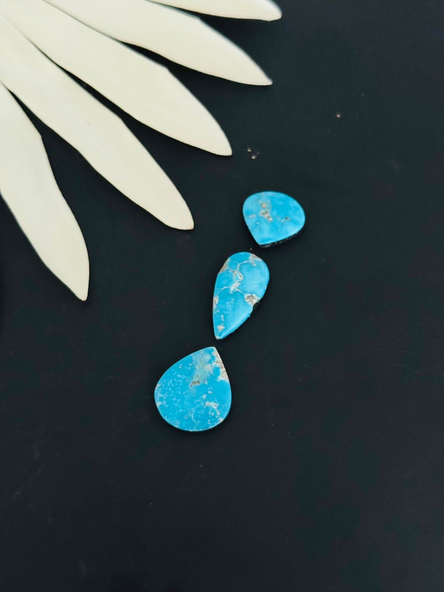 Blue Bird Turquoise Cabs
