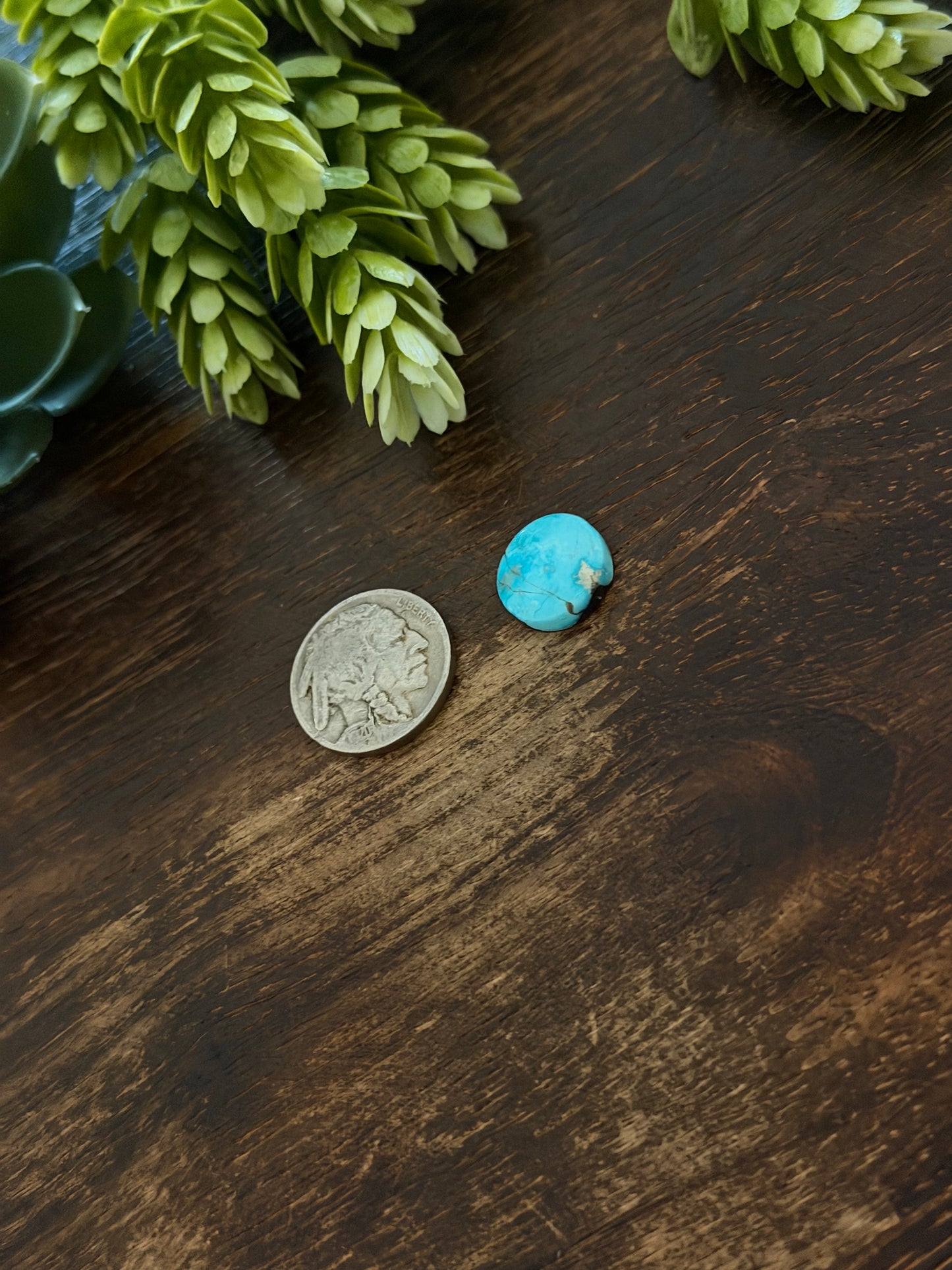Blue Bird Turquoise Cab