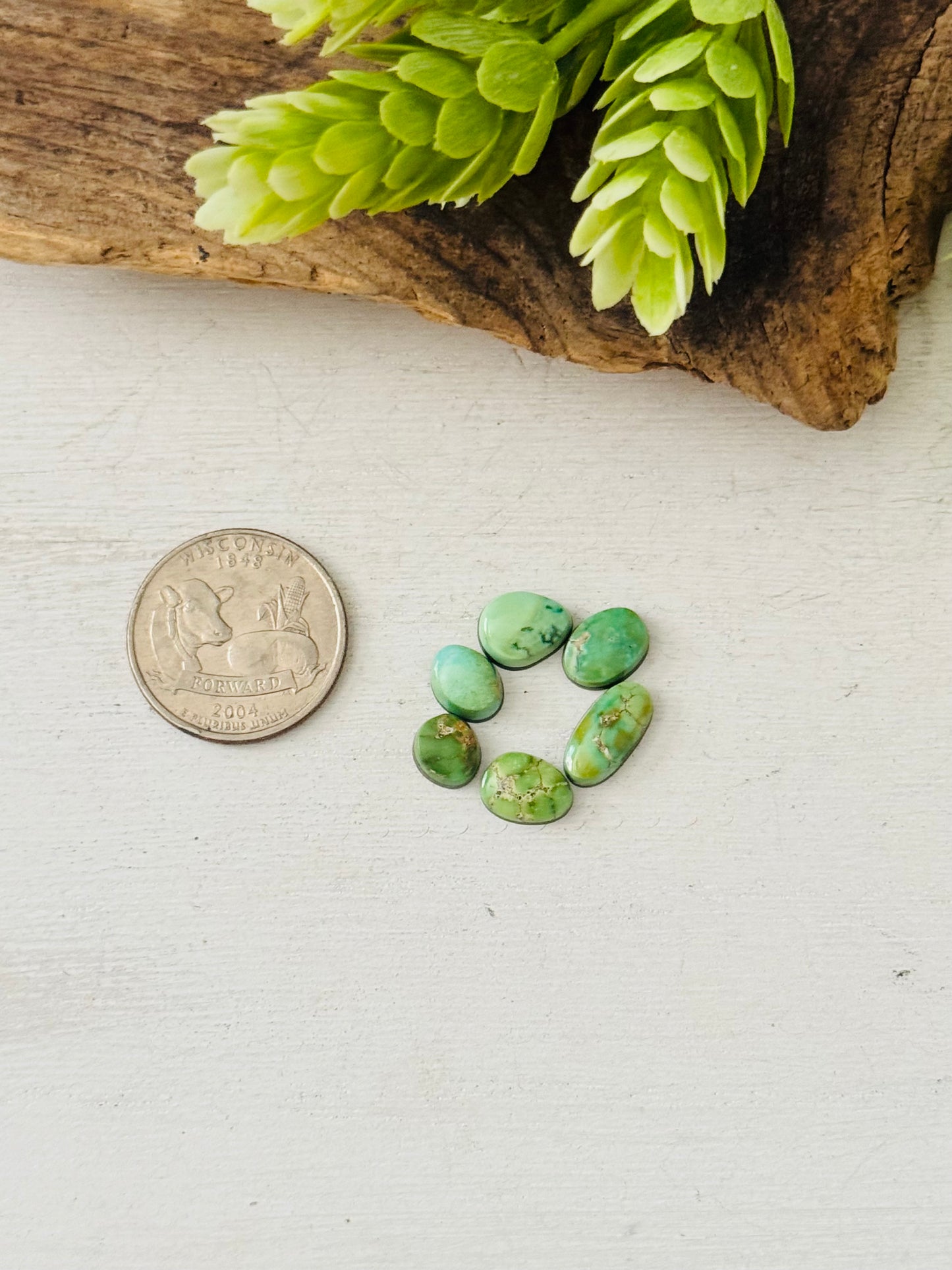 Natural Sonoran Gold Turquoise Cabs