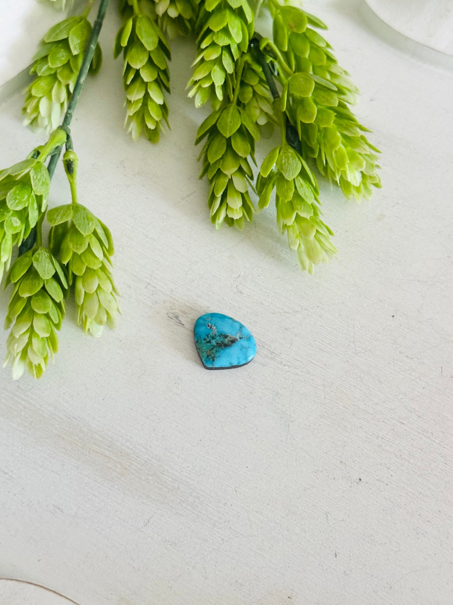 Blue Bird Turquoise Cab